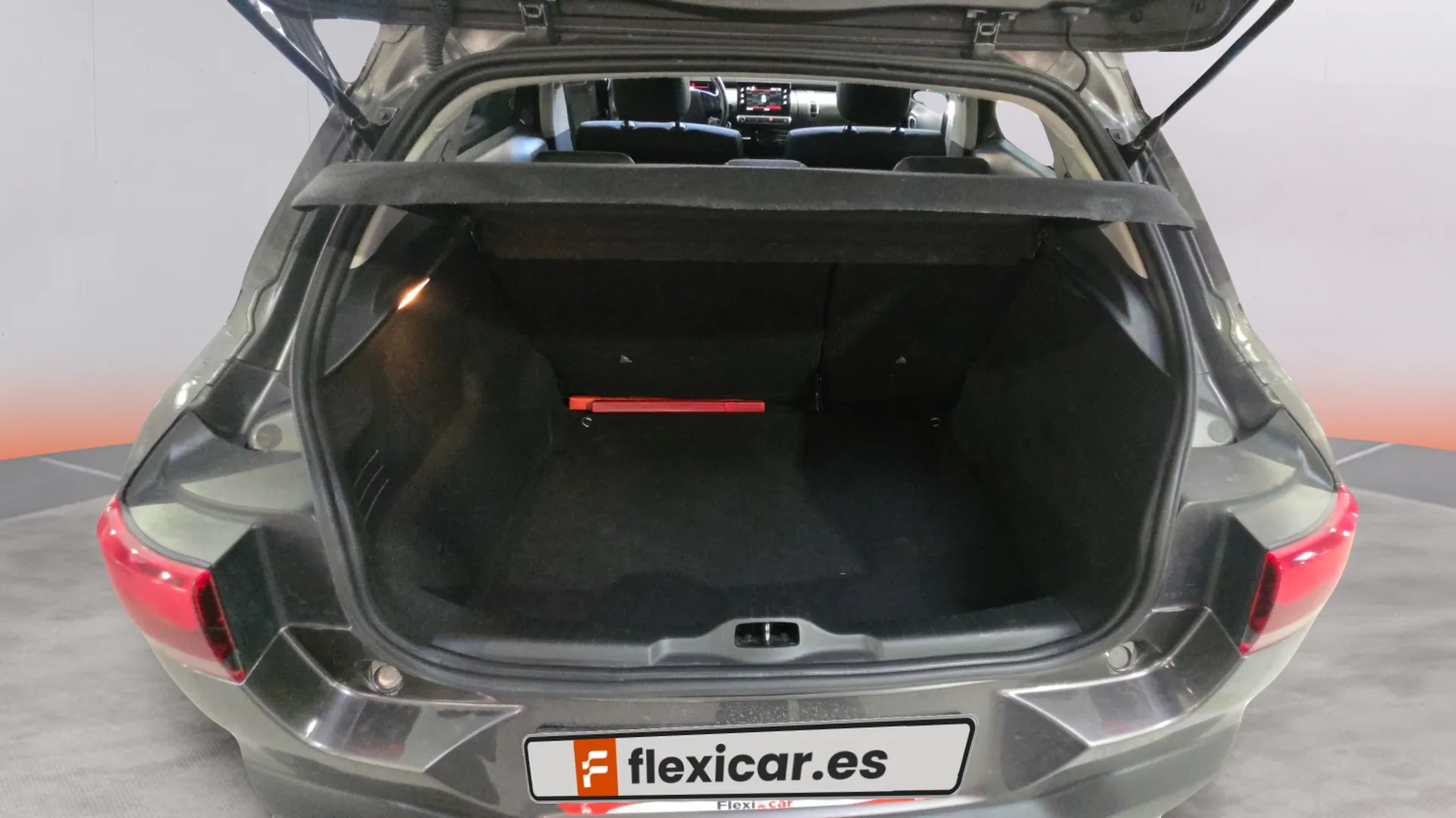Citroën C4 Cactus PureTech 110 C-Series - foto 15