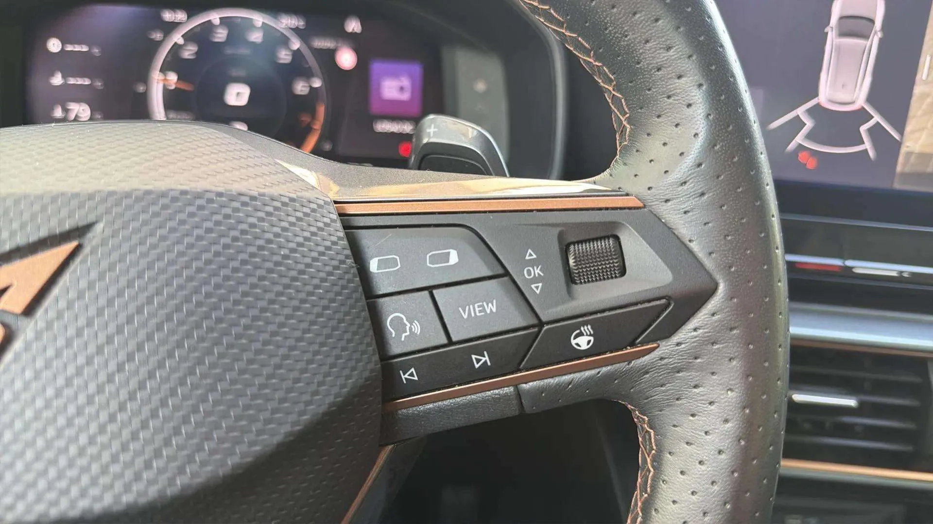 Cupra Formentor 1.5 TSI DSG - foto 20