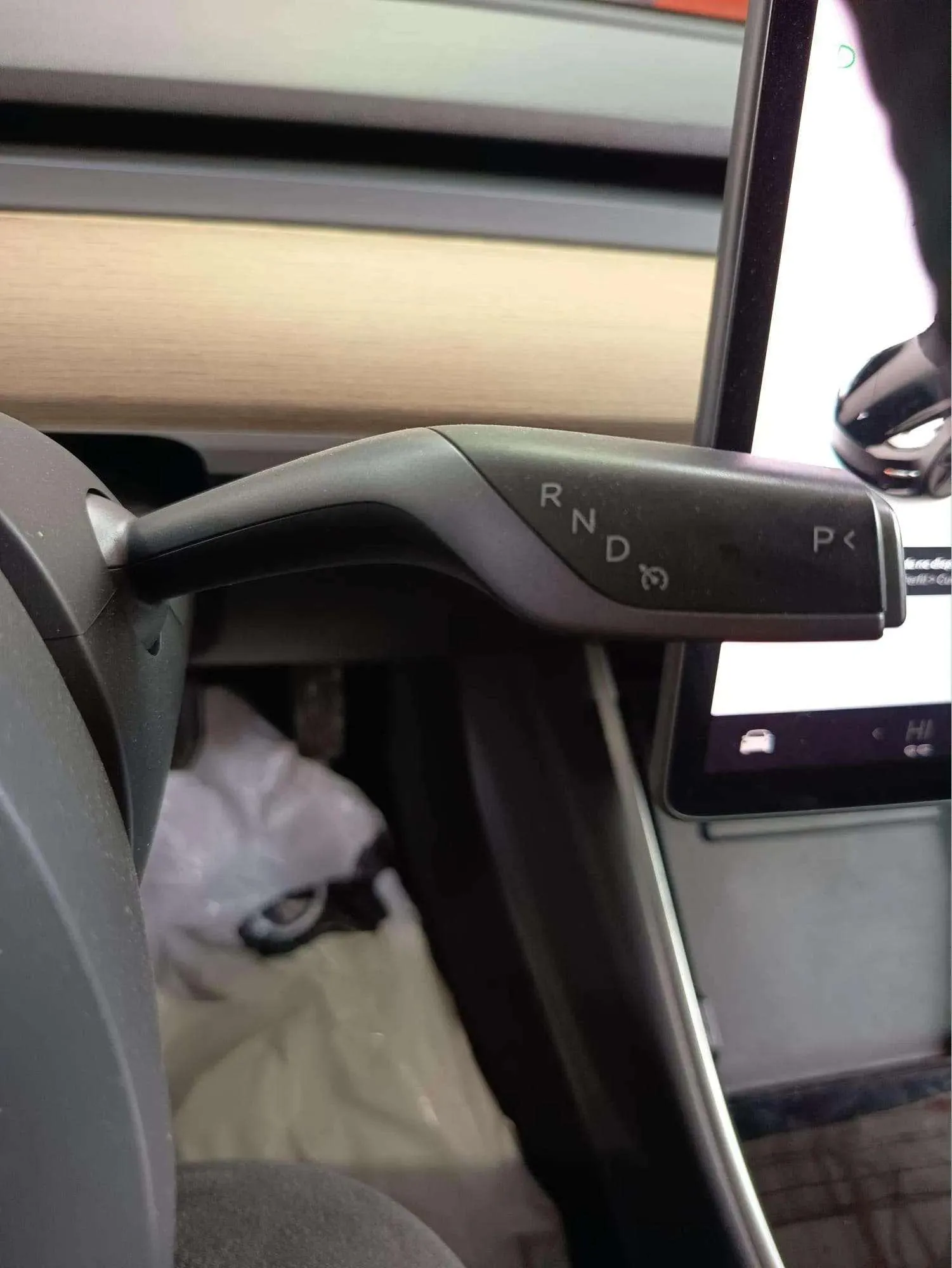 Tesla Model 3 Estándar Plus RWD - foto 13