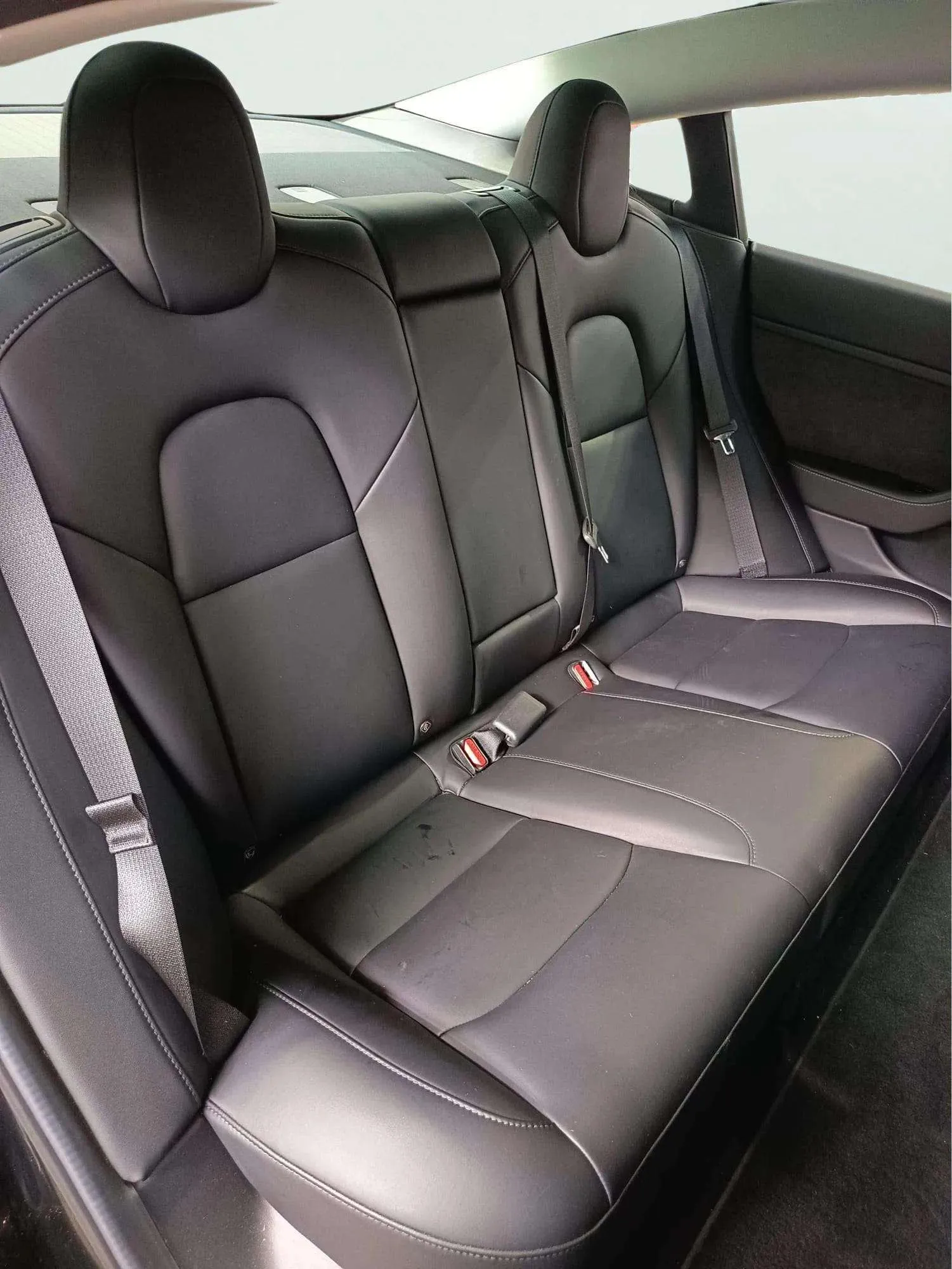 Tesla Model 3 Estándar Plus RWD - foto 18