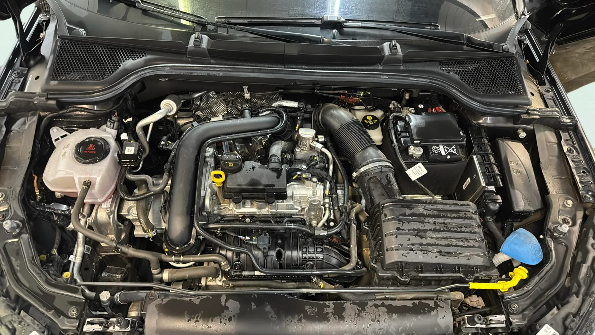 Škoda Kamiq 1.0 TSI DSG Selection - foto 18