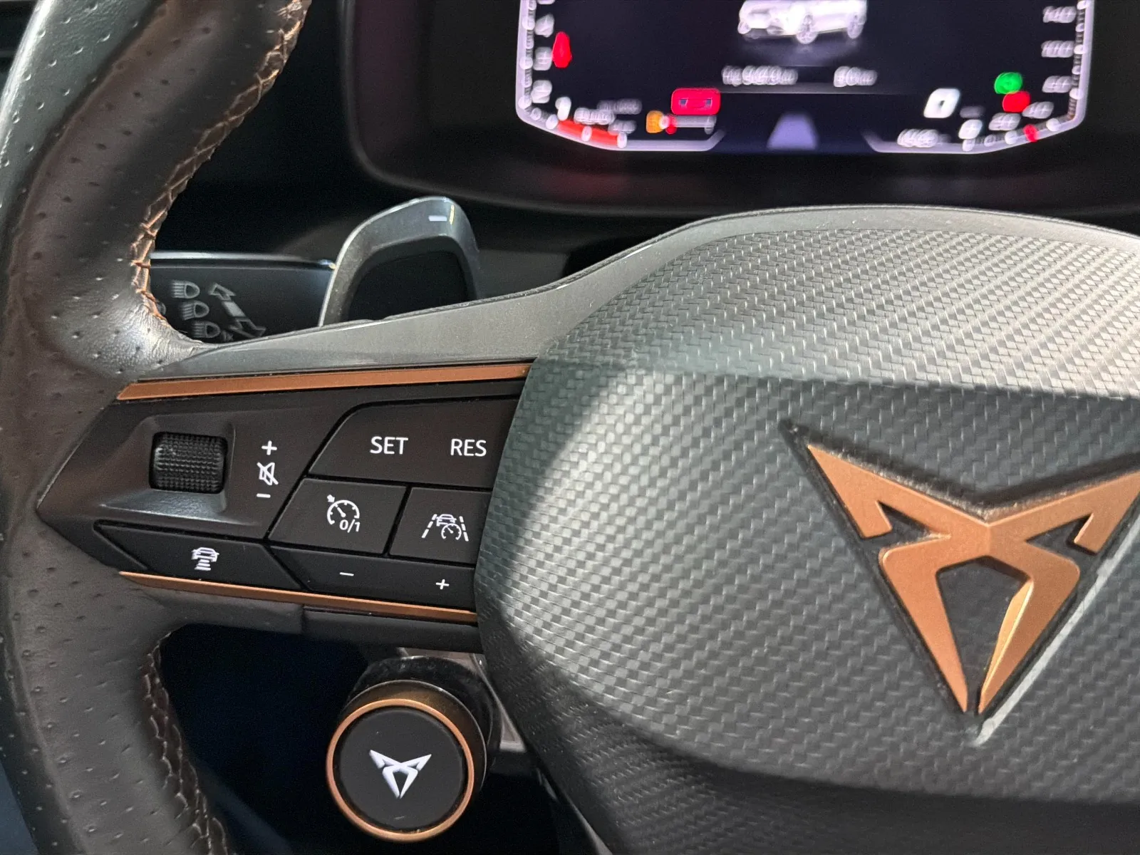 Cupra Formentor 2.0 TSI VZ 4Drive DSG - foto 8