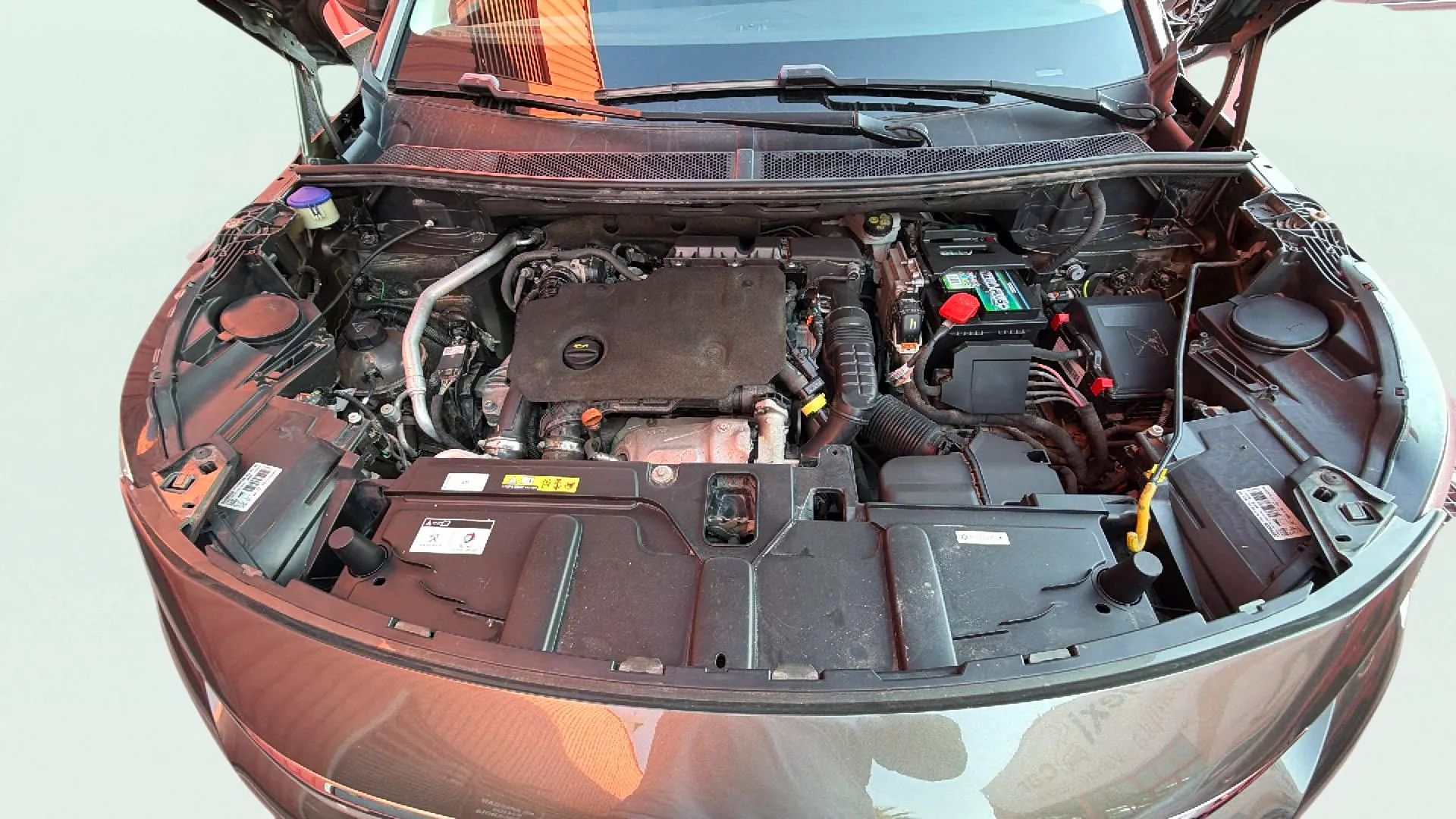 Peugeot 3008 1.5L BlueHDi Active - foto 16