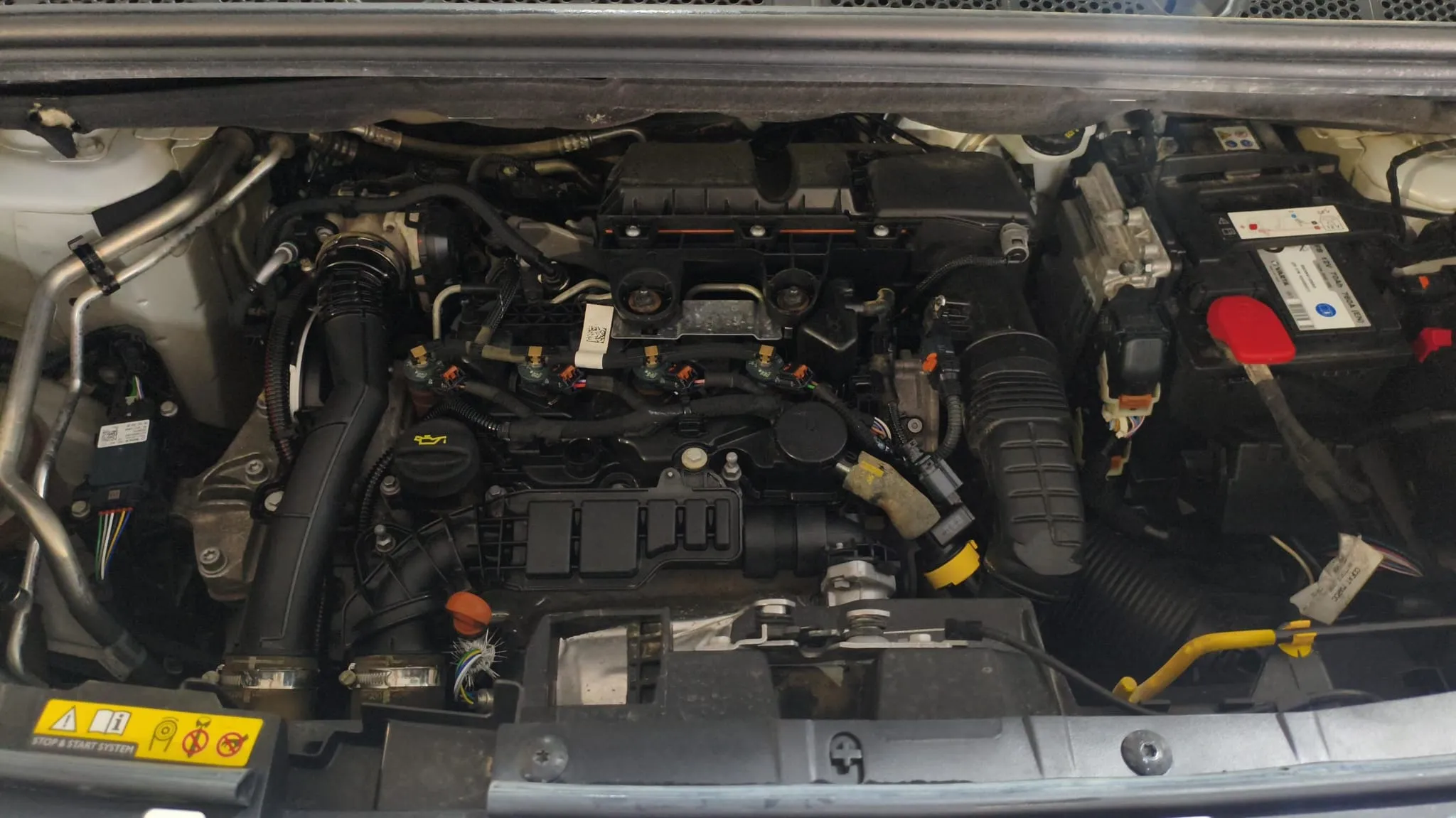 Citroën Berlingo Talla M - foto 20