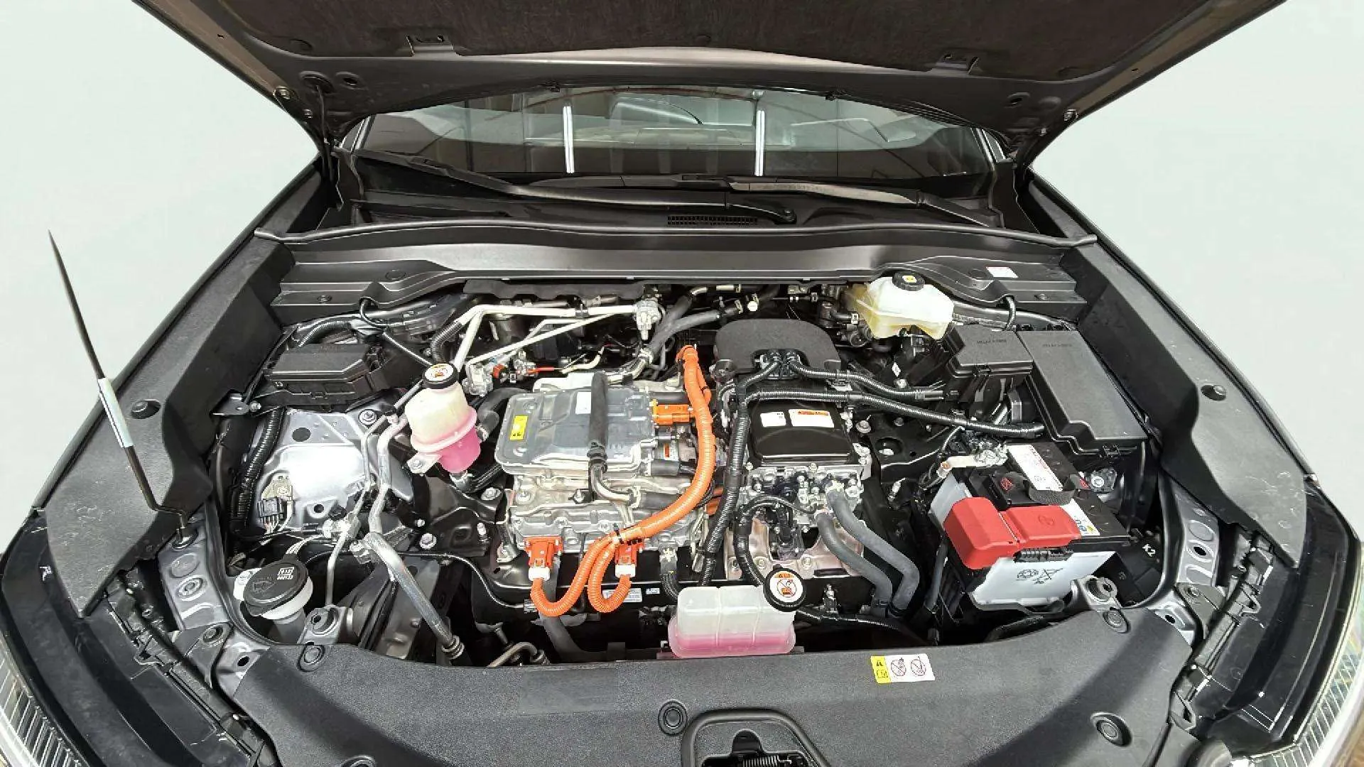 Lexus UX 300e e-UX Plus - foto 12