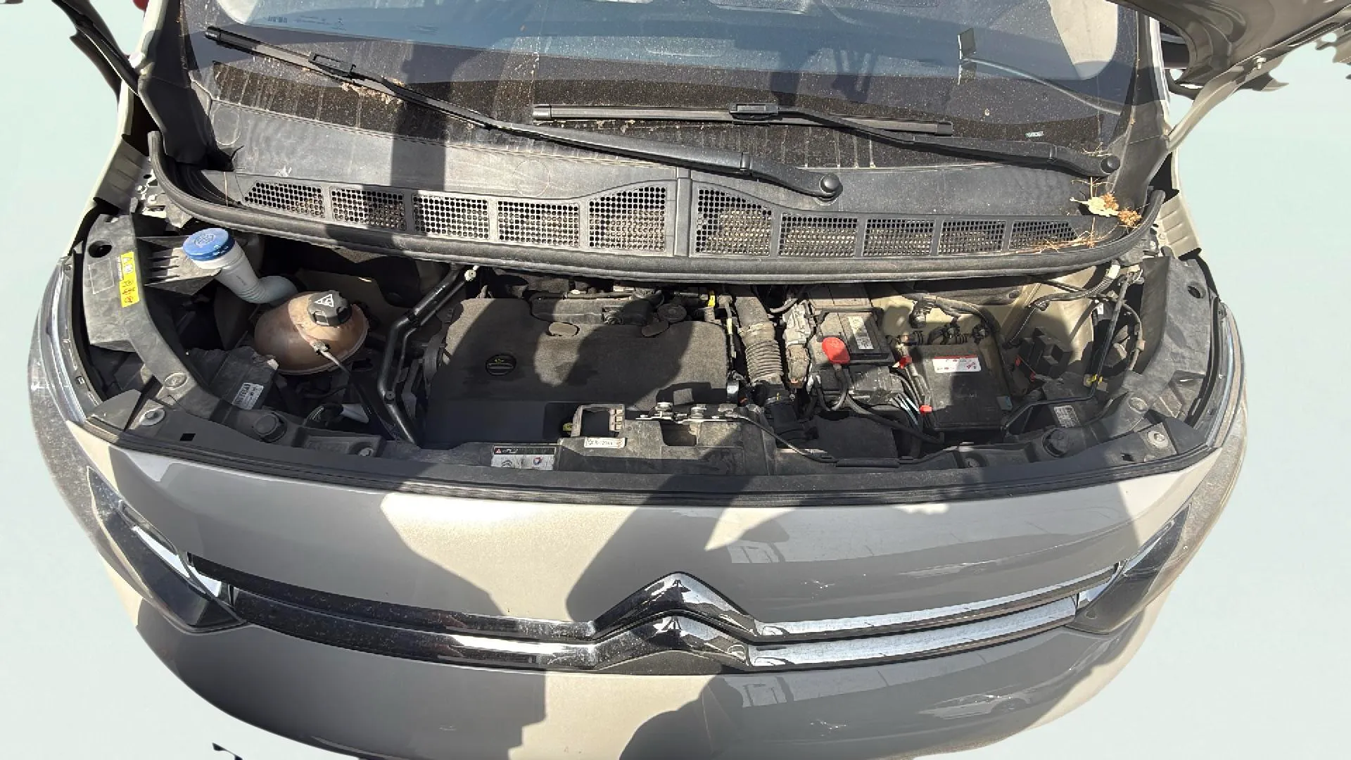 Citroën C4 SpaceTourer Talla M BlueHDi Rip Curl - foto 19