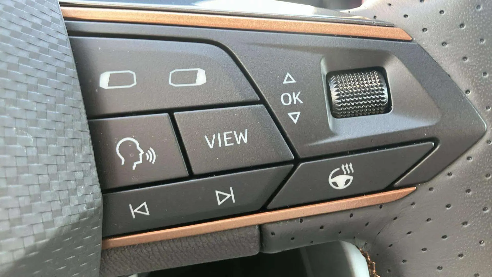 Cupra Formentor 1.5 TSI DSG - foto 22