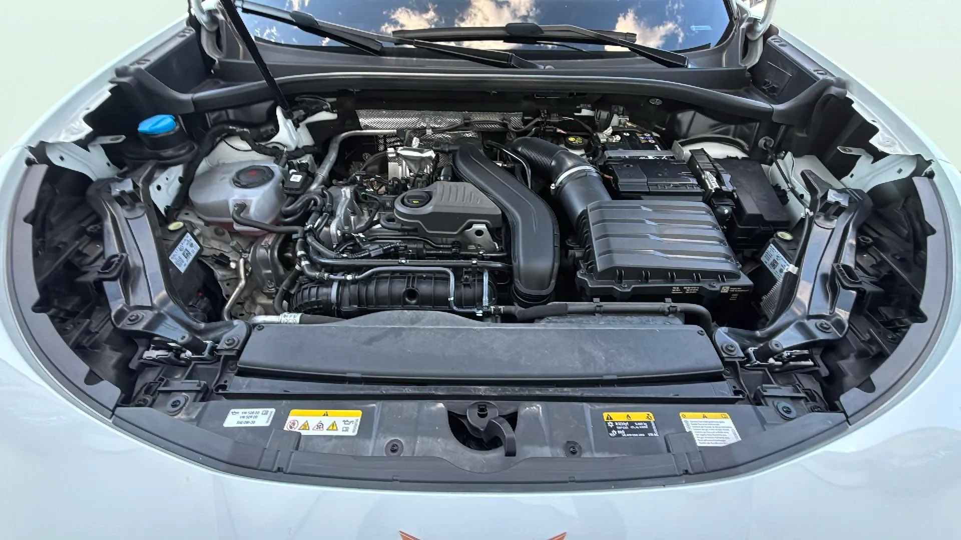 Cupra Terramar 1.5 eTSI DSG - foto 19