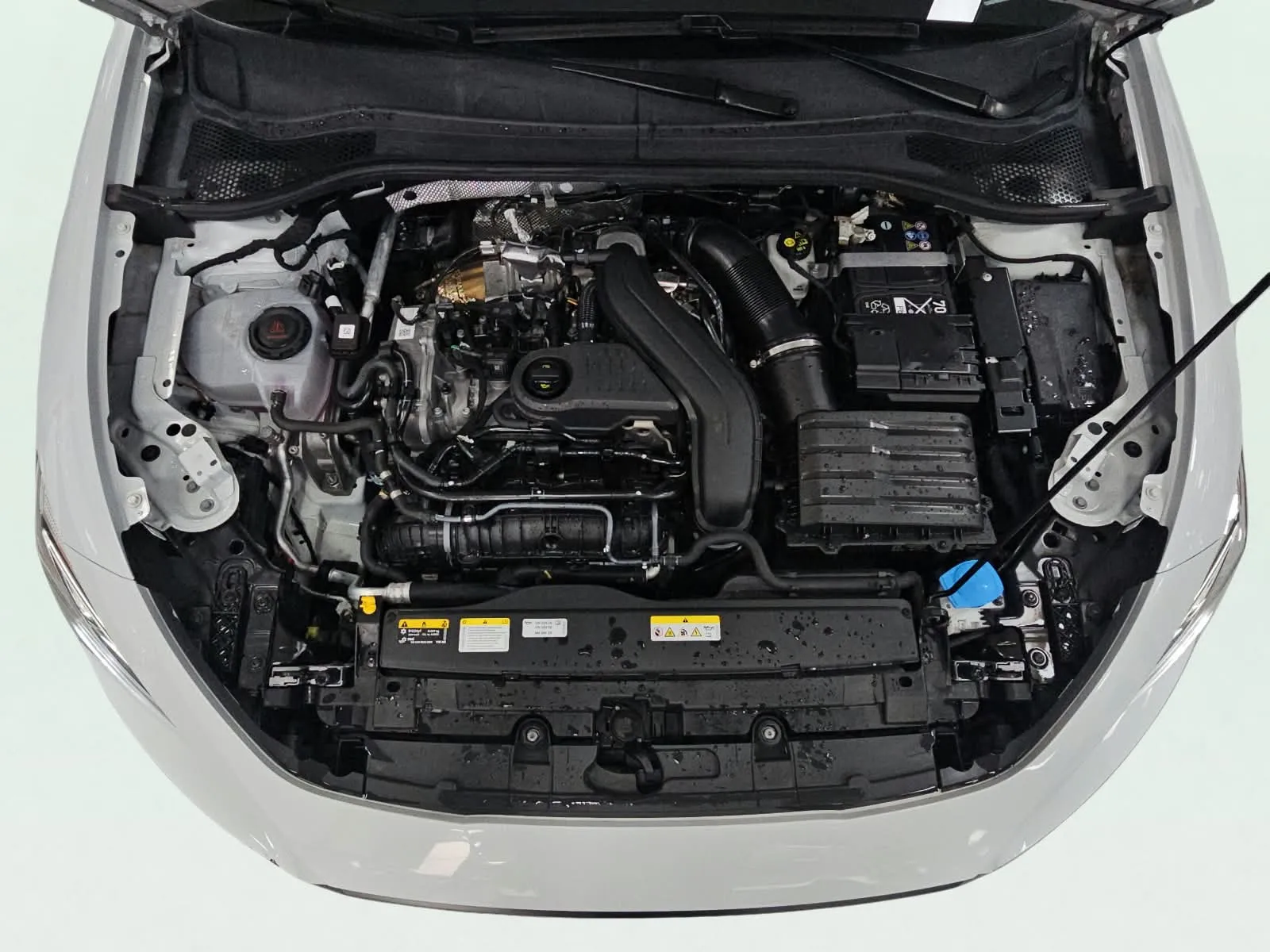 SEAT León SP 1.5 TSI FR 75 Aniversario - foto 15