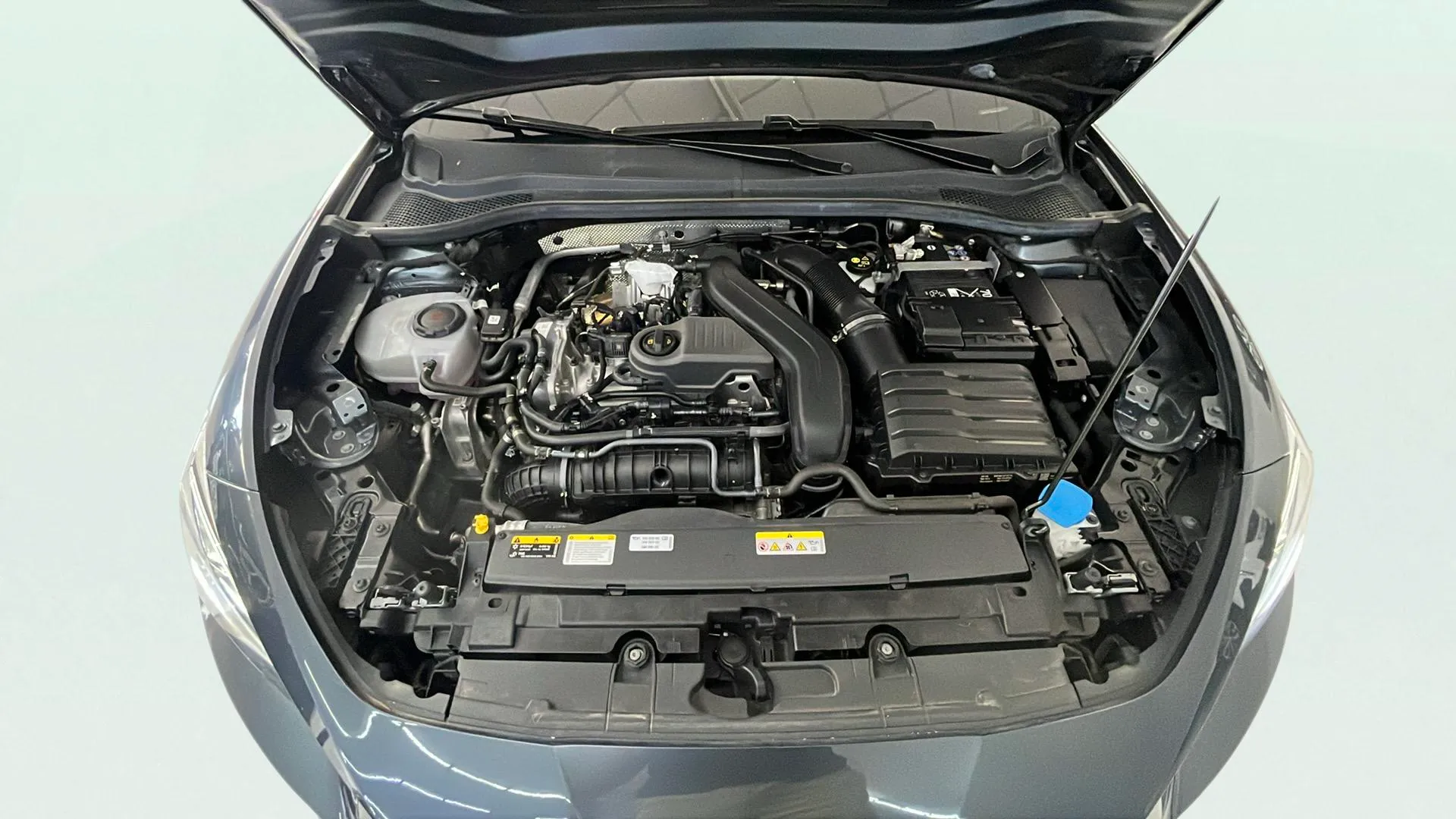 SEAT León 1.5 TSI FR 25 Aniversario - foto 18