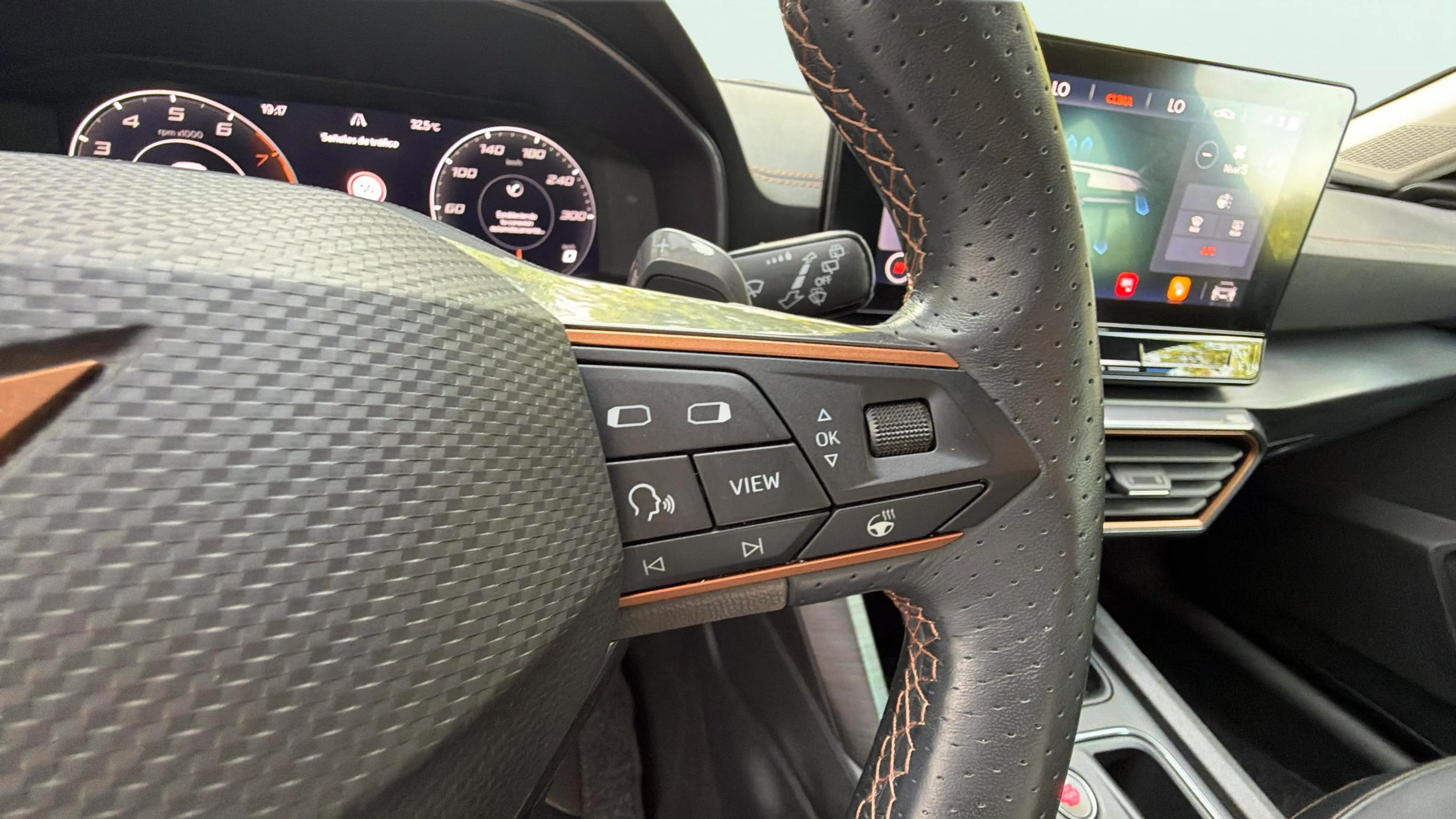 Cupra Formentor 1.5 TSI DSG - foto 22