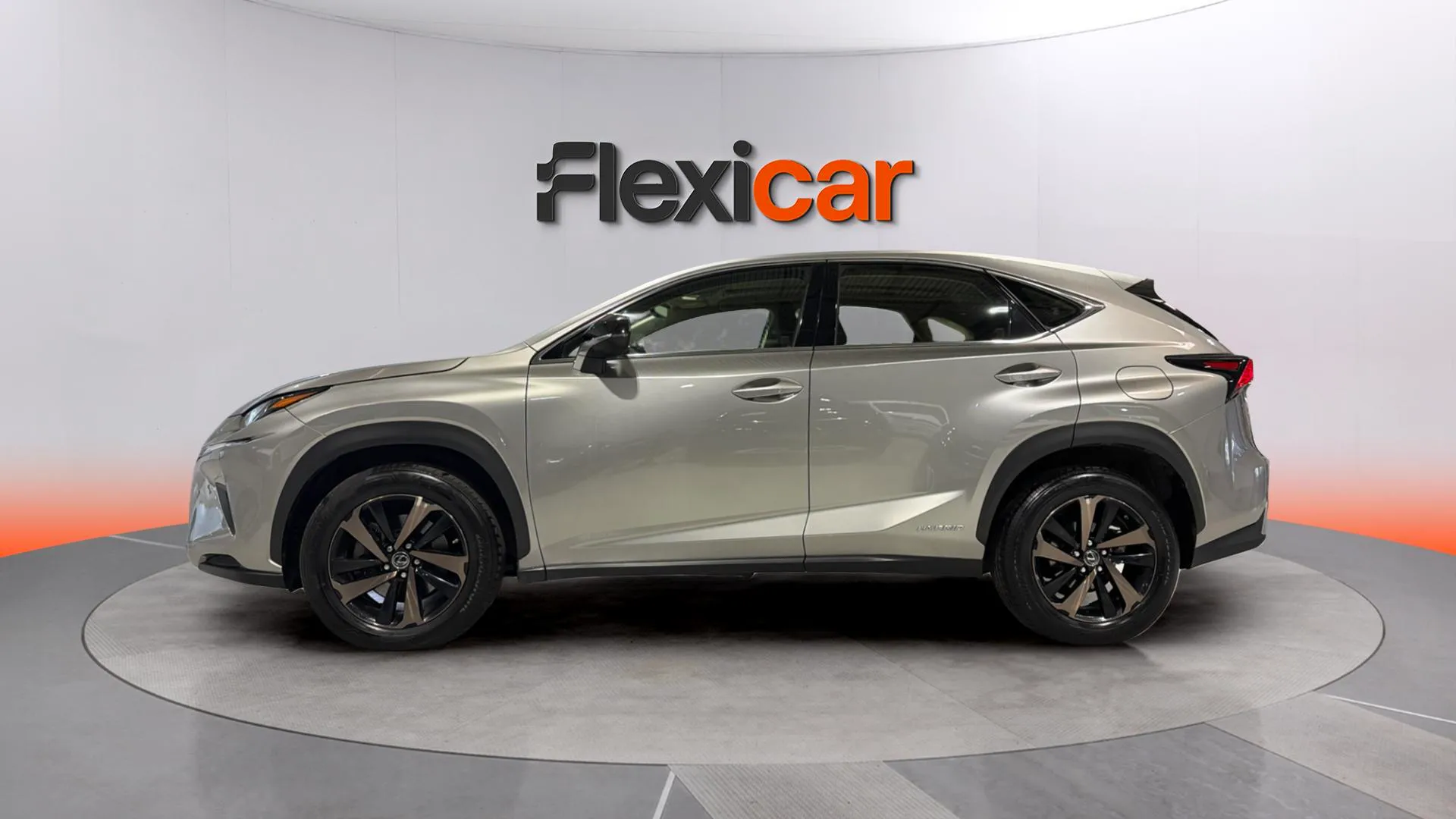 Lexus NX 2.5 300h Business 2WD - foto 4