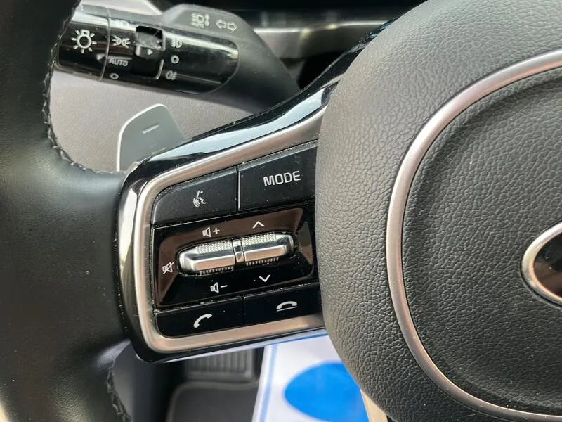 Kia Sorento 1.6 T-GDi Emotion - foto 17