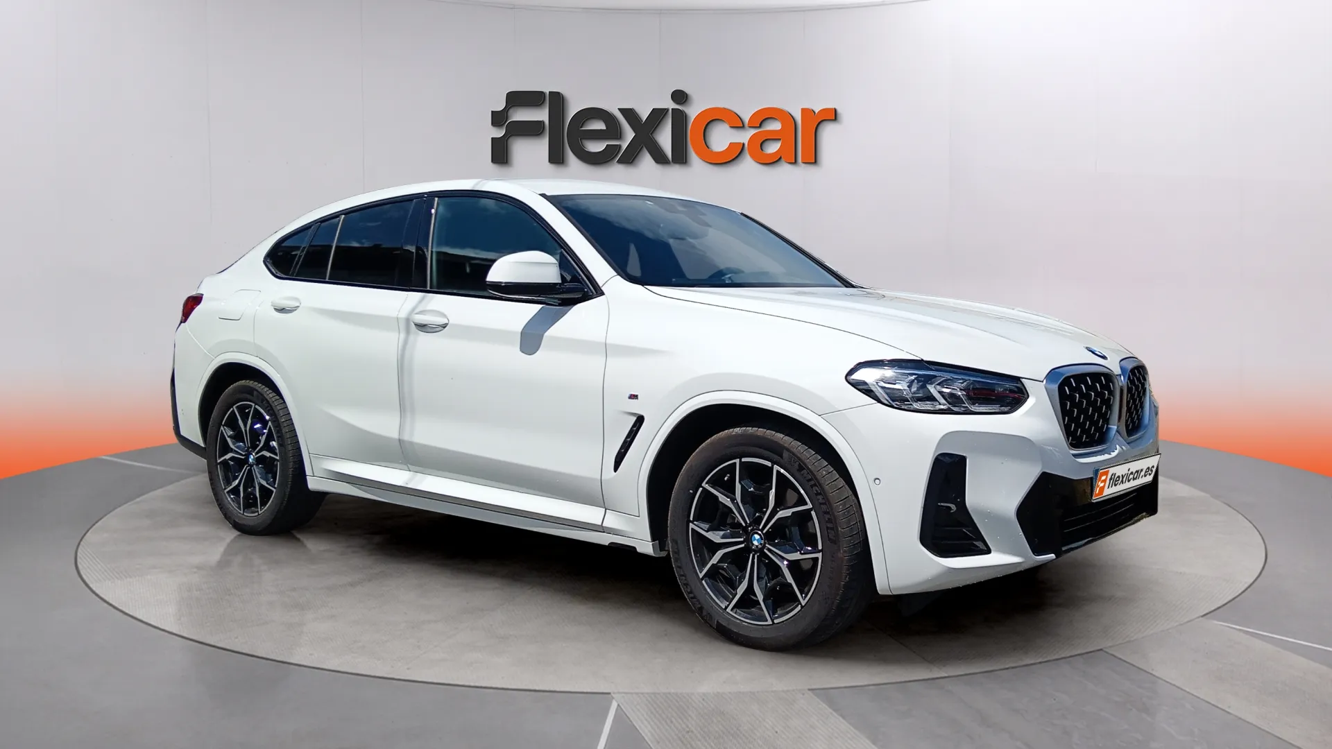 BMW X4 xDrive20d xLine