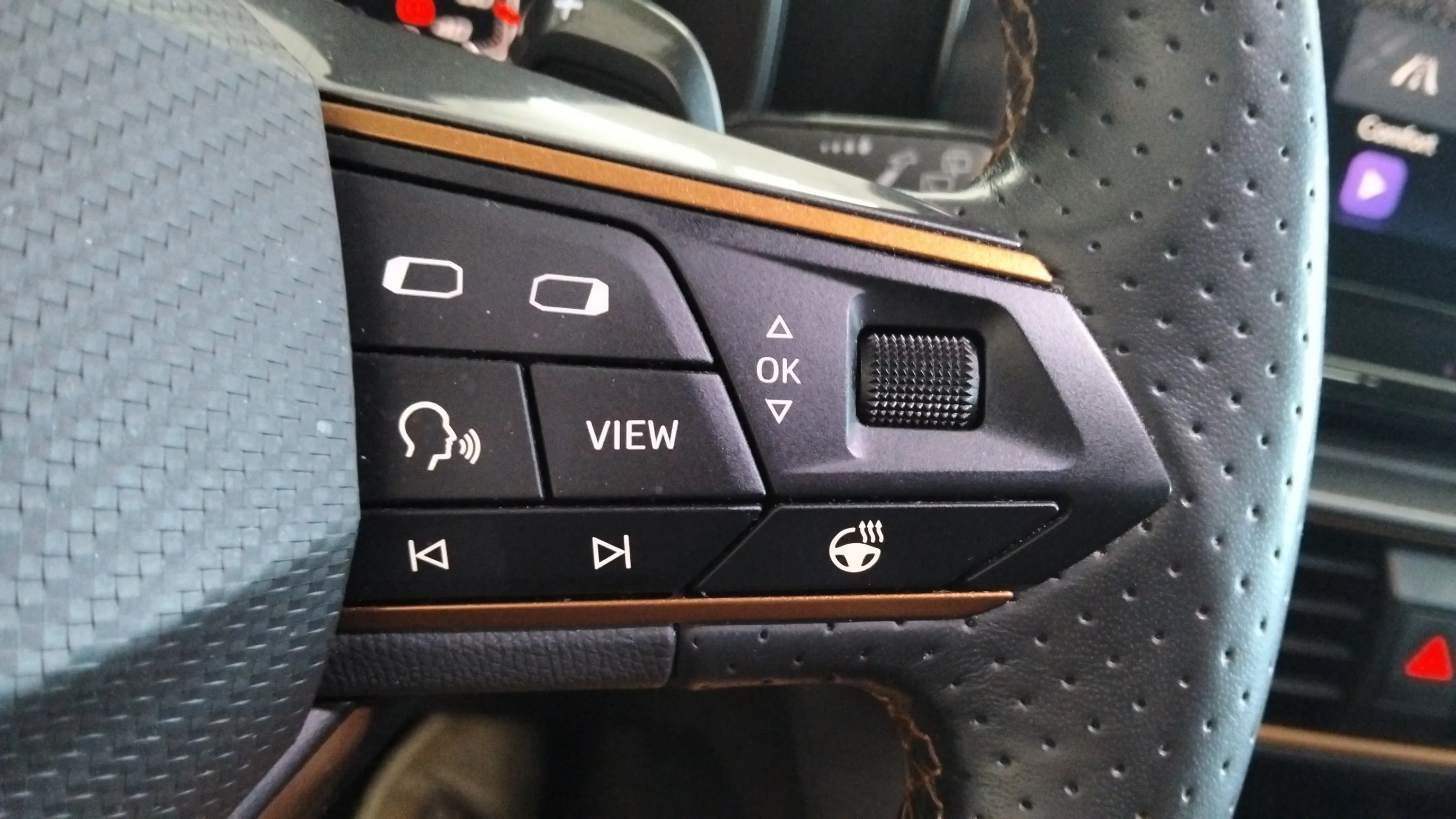 Cupra Formentor 1.5 TSI DSG - foto 19