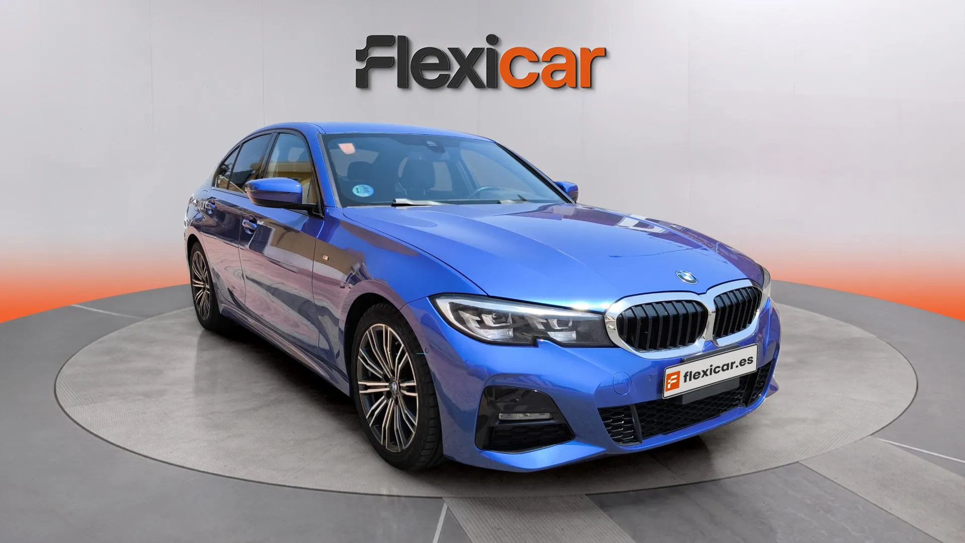 BMW Serie 3 318d