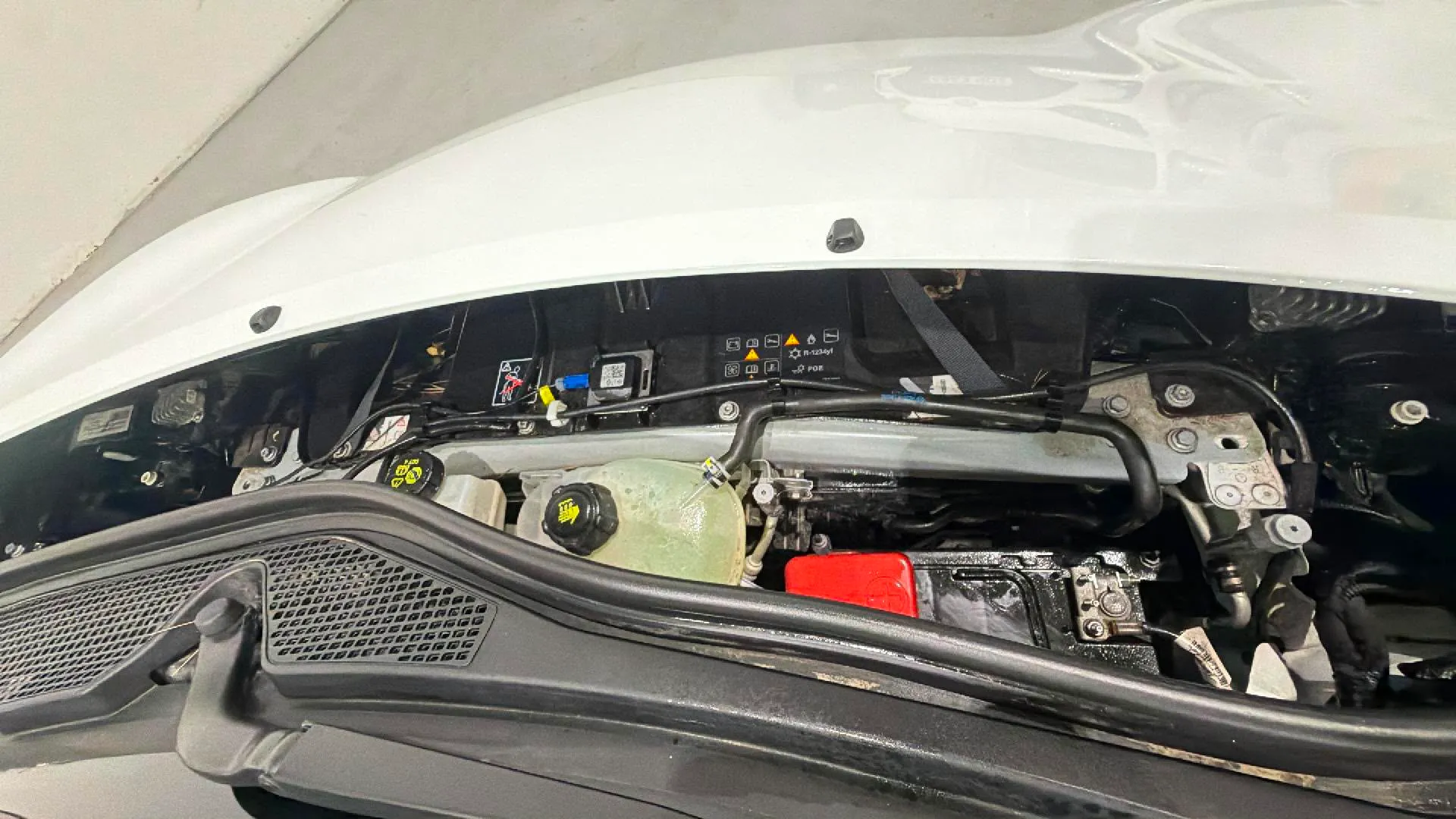 smart forfour EQ - foto 21
