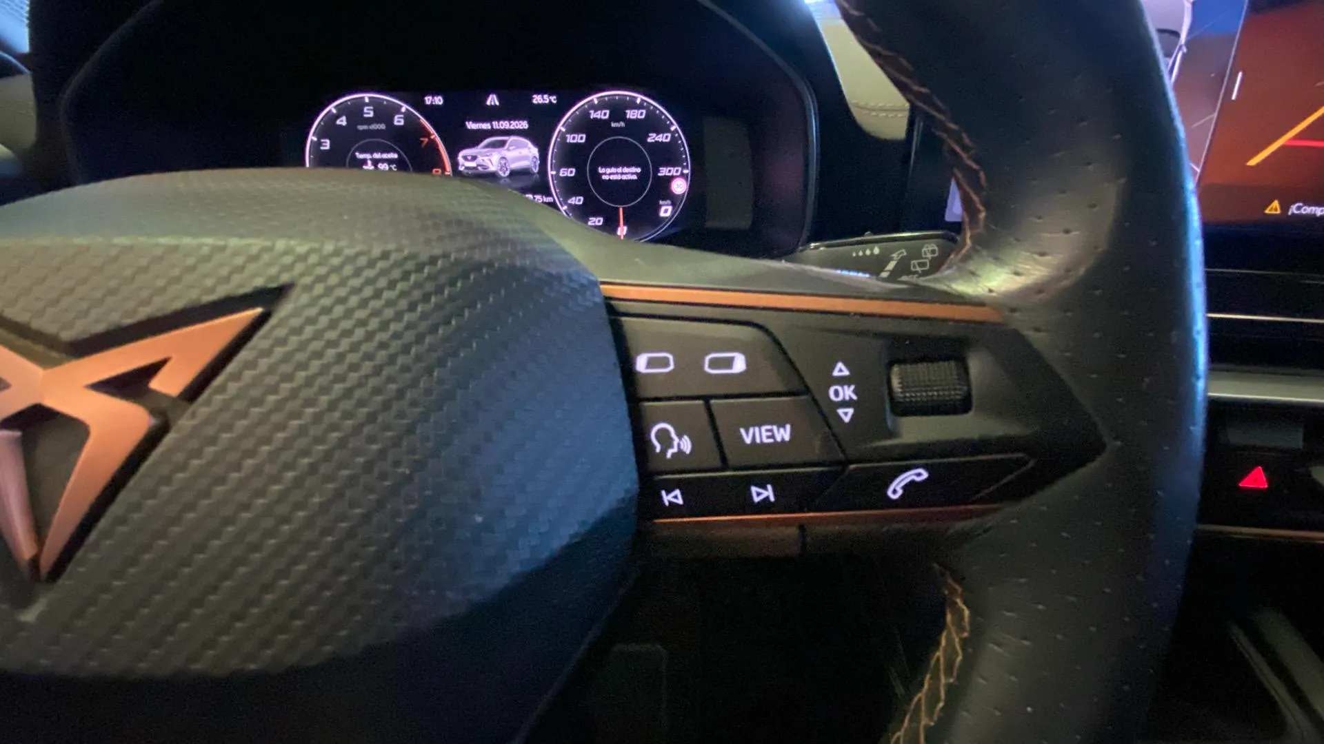 Cupra Formentor 1.5 TSI DSG - foto 20