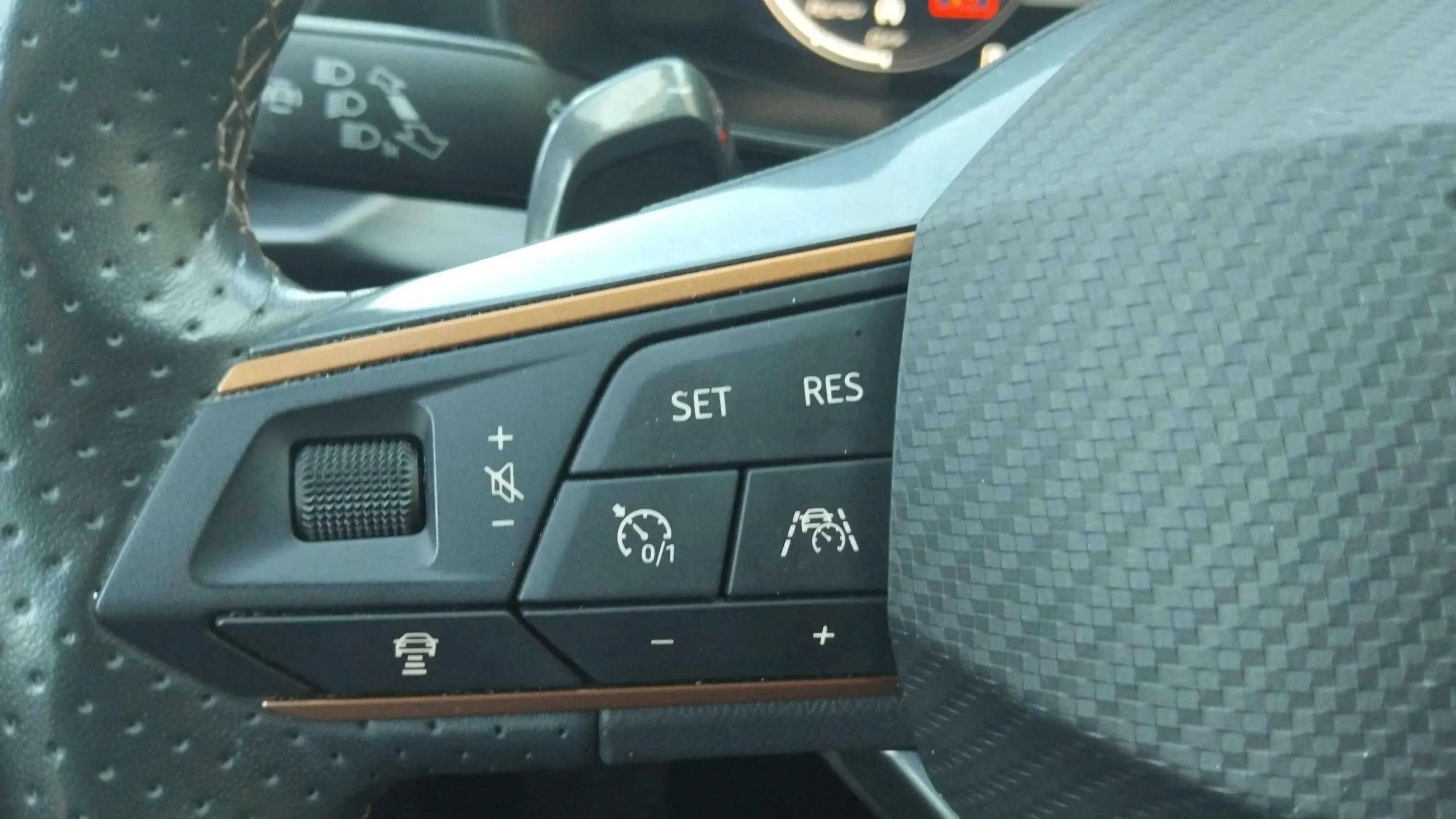Cupra Formentor 1.5 TSI DSG - foto 11