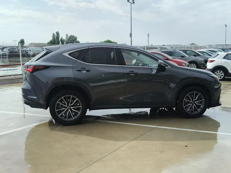 Lexus NX 350h Executive - foto 7