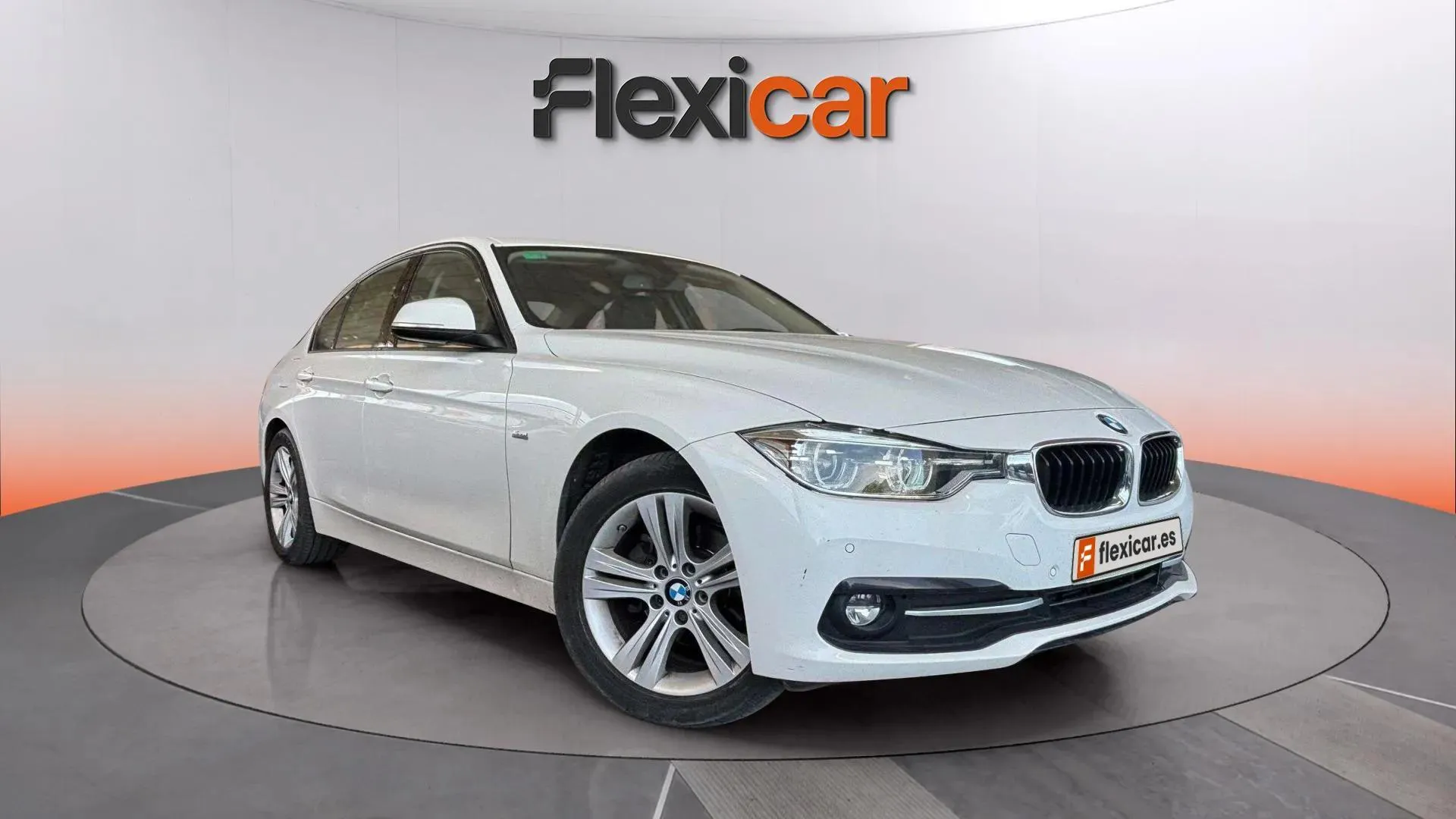 BMW Serie 3 318d