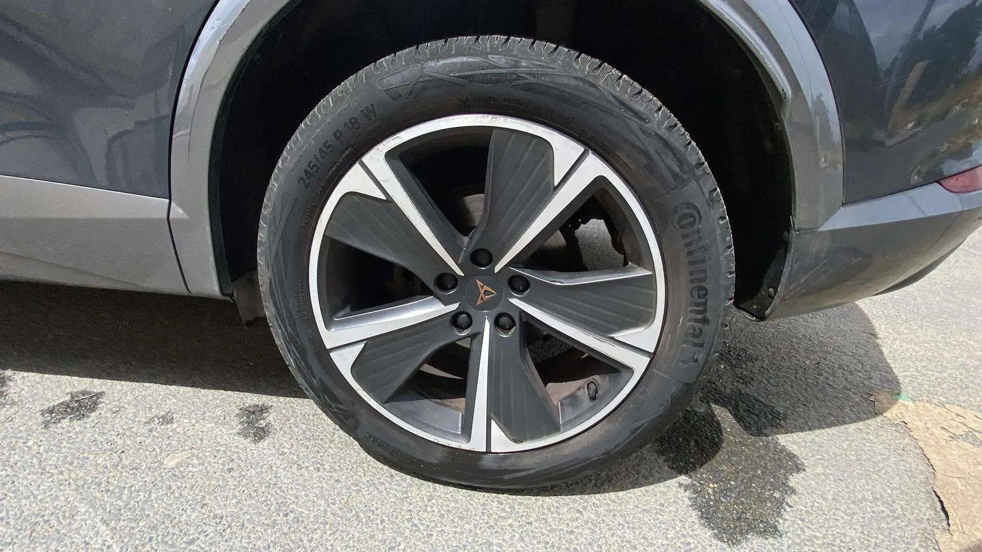 Cupra Formentor 1.5 TSI DSG - foto 42
