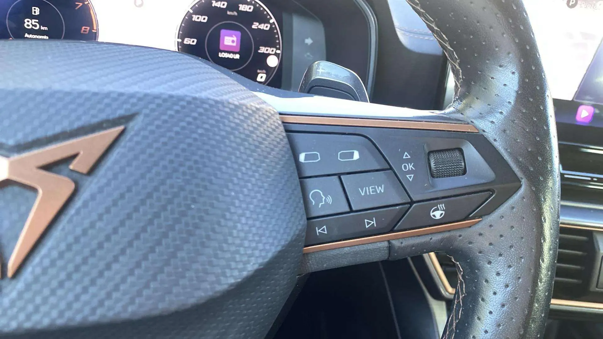 Cupra Formentor 2.0 TSI 4Drive DSG - foto 14