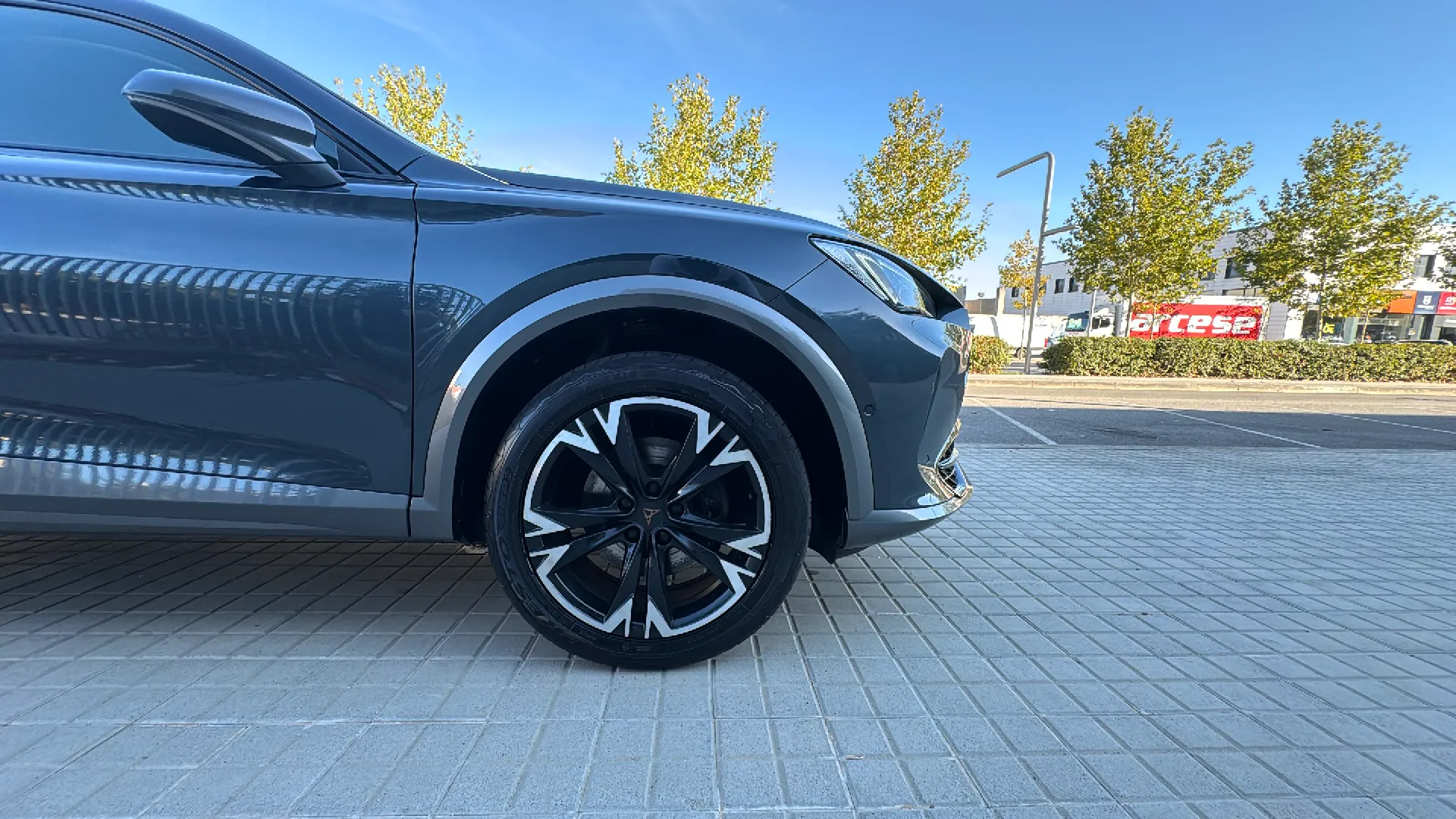 Cupra Formentor 2.0 TSI 4Drive DSG - foto 17