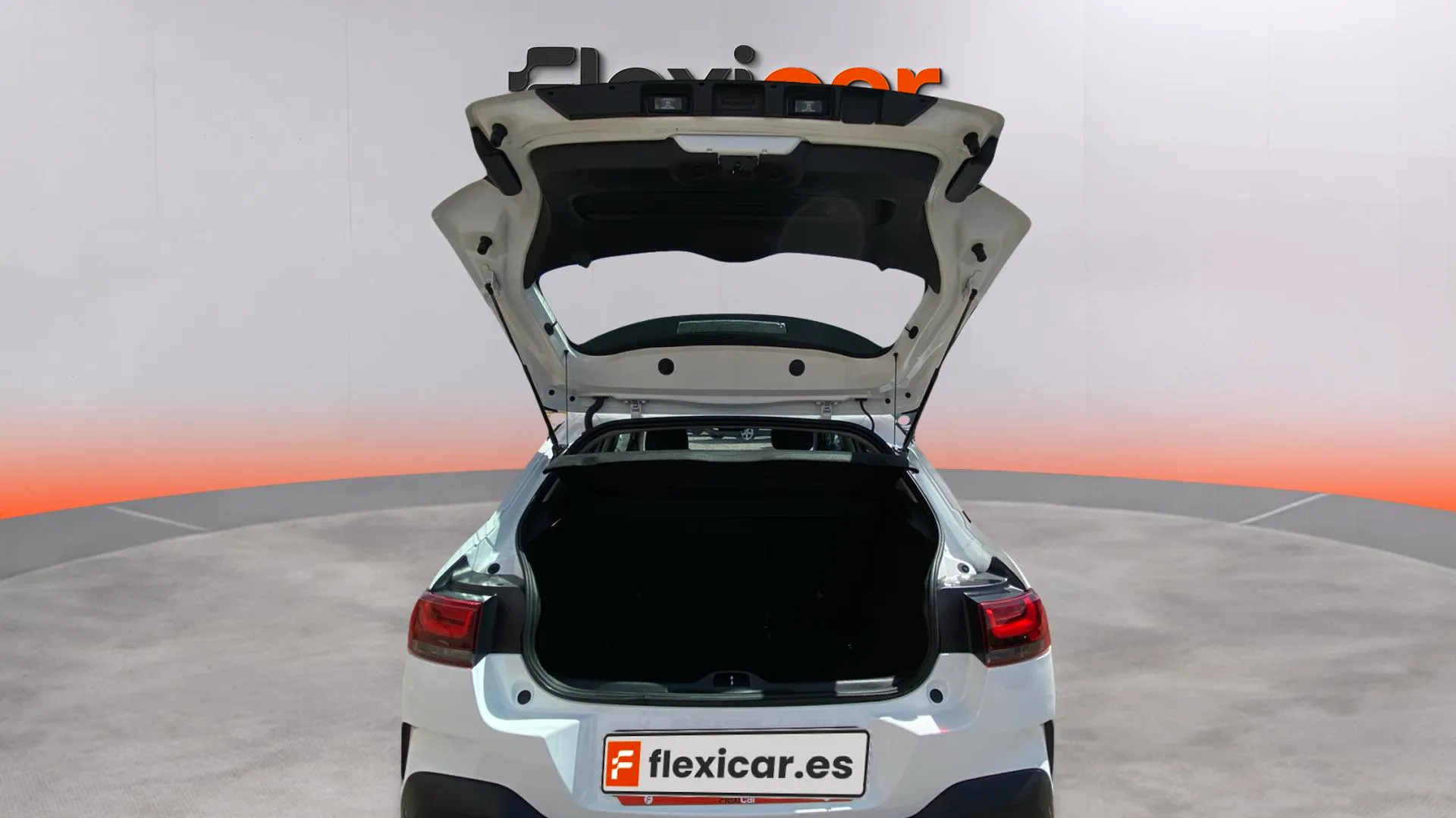 Citroën C4 Cactus PureTech 110 C-Series - foto 16
