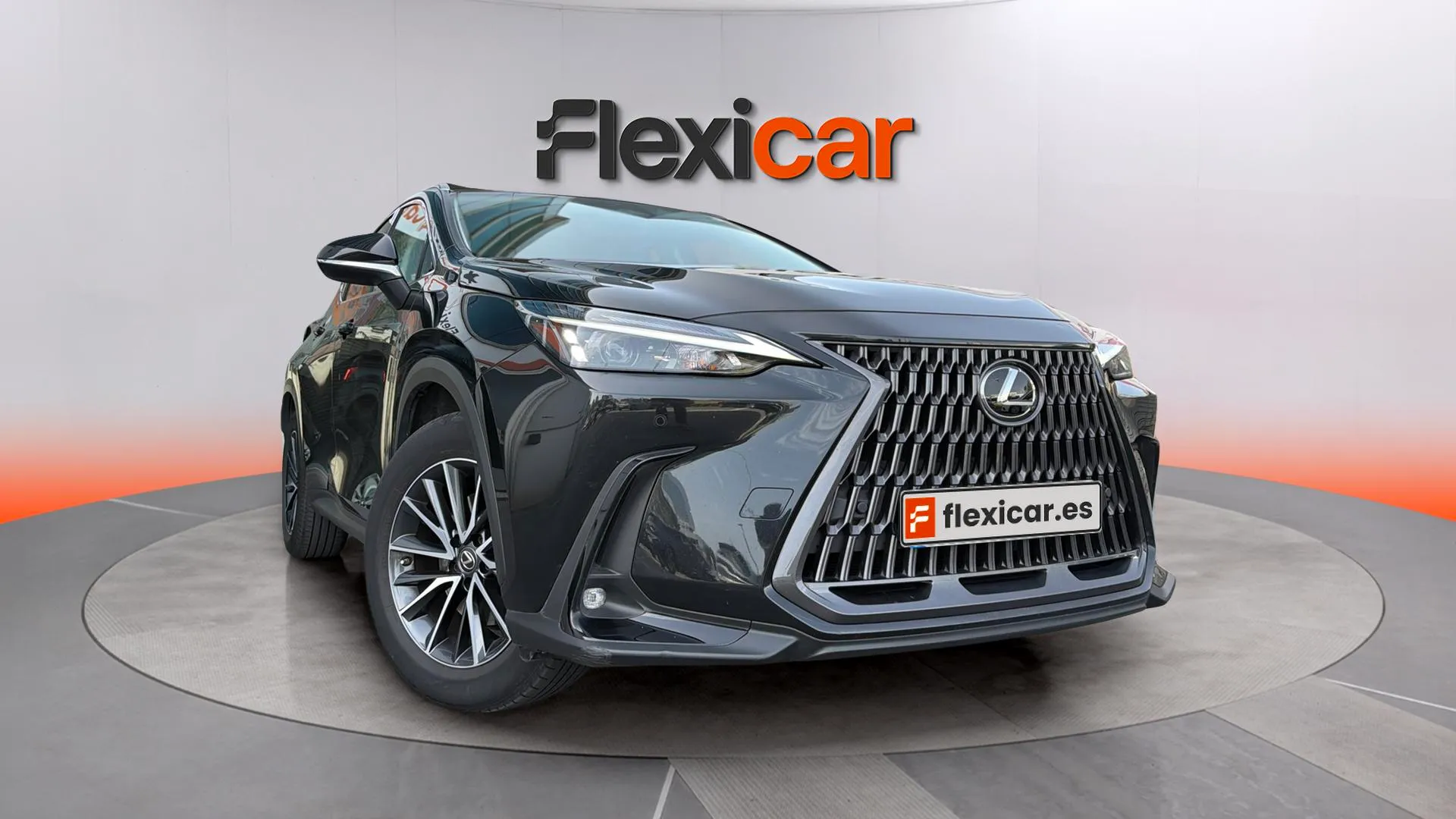 Lexus NX 350h Business 2WD