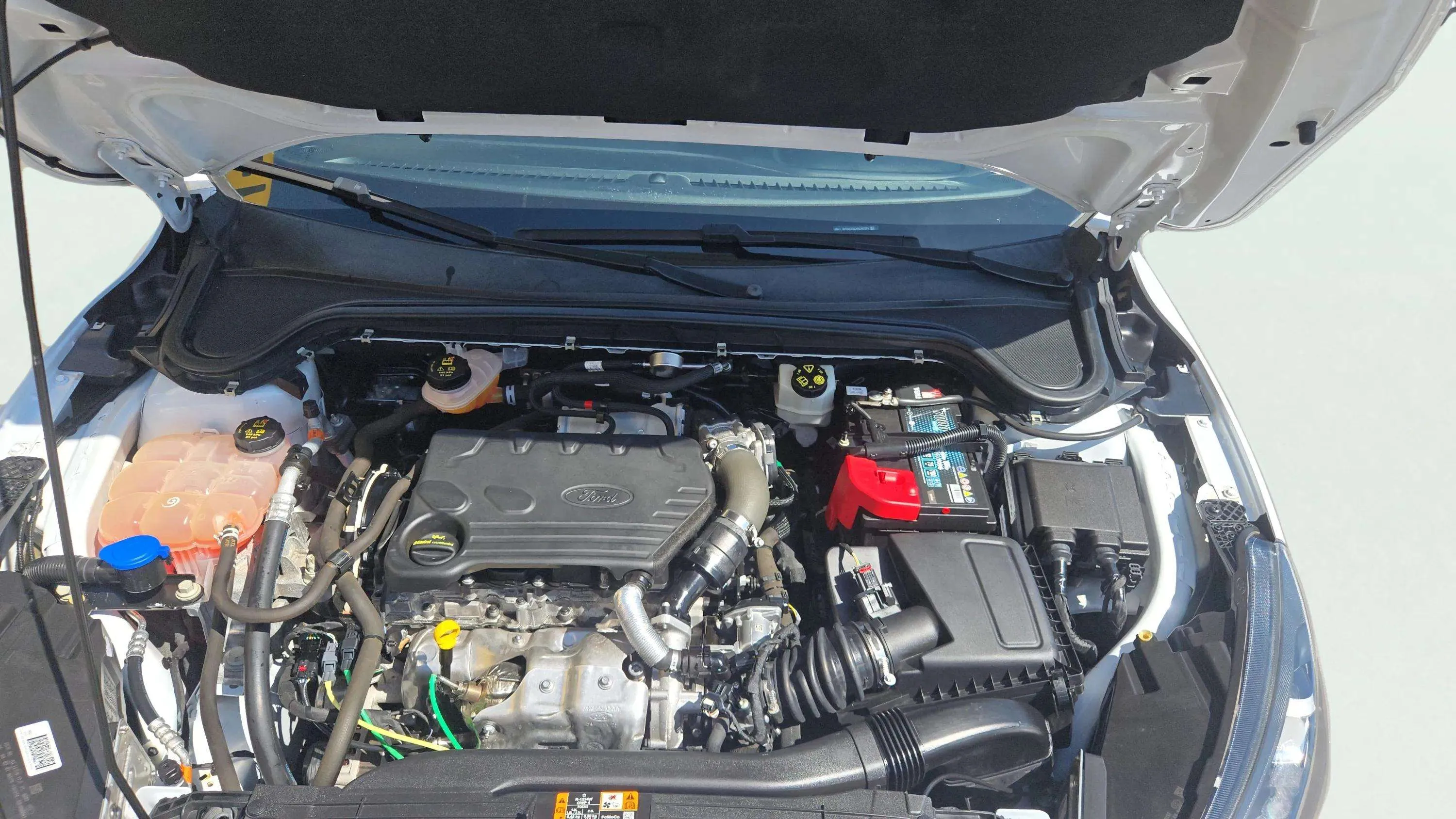 Ford Focus 1.5 EcoBlue ST-Line - foto 11