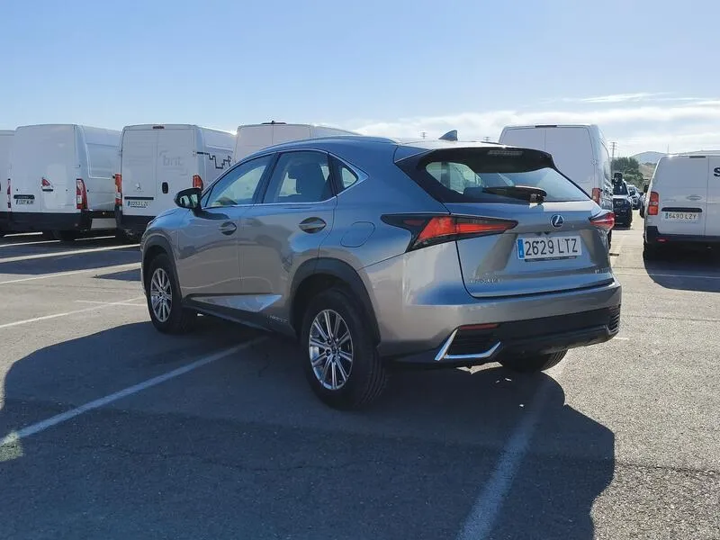 Lexus NX 2.5 300h Business - foto 4