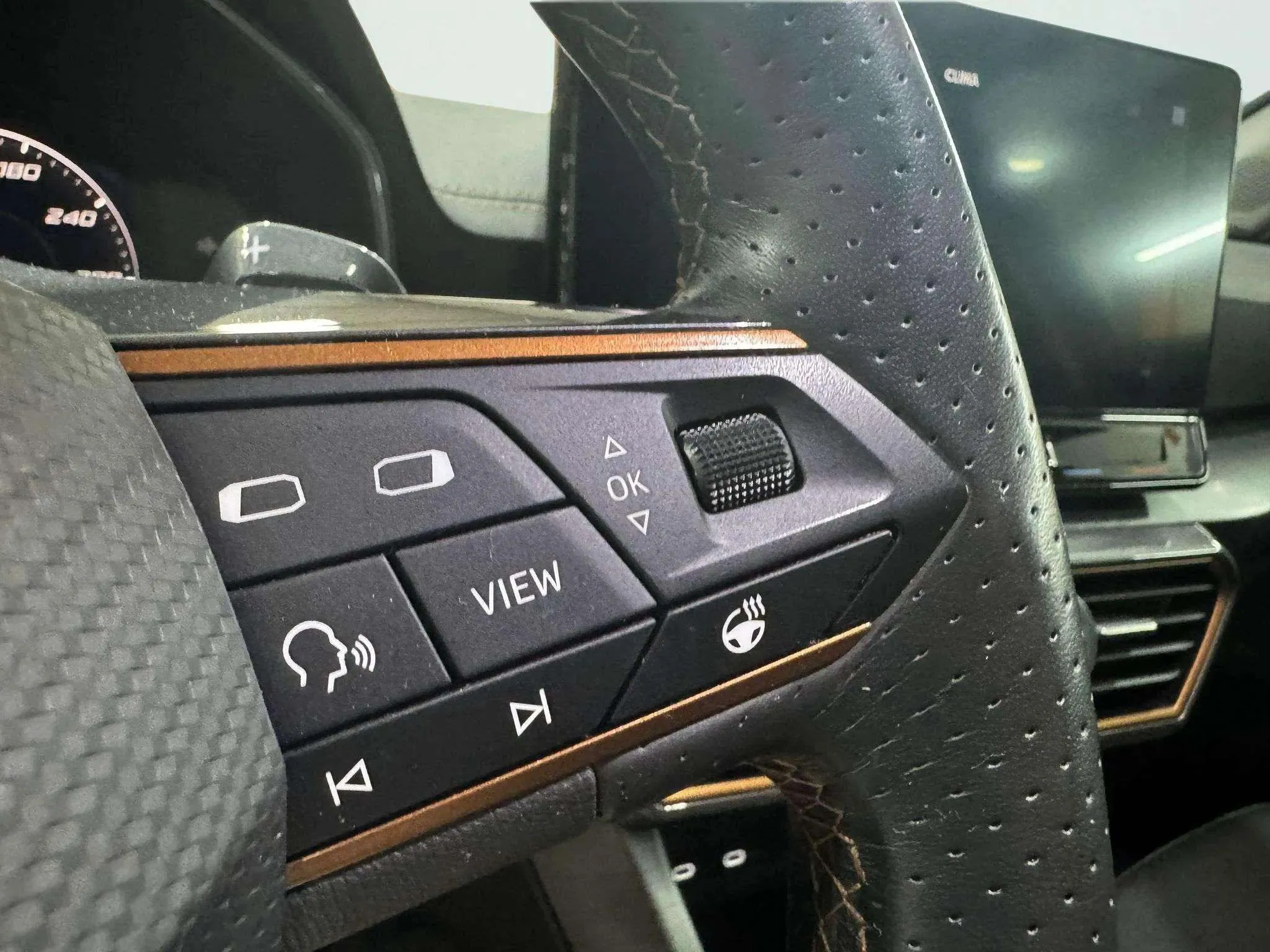 Cupra Formentor 1.5 TSI DSG - foto 13