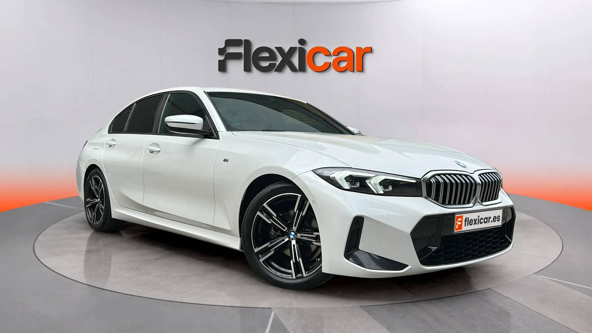 BMW Serie 3 318d