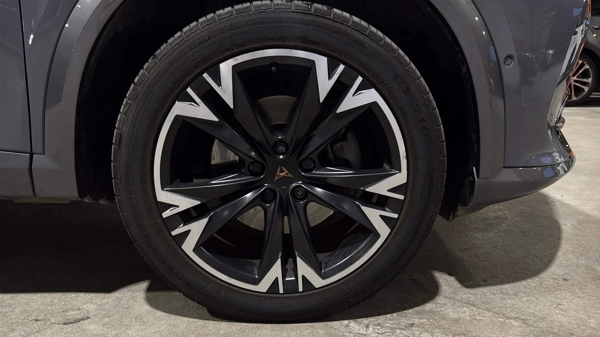 Cupra Formentor 2.0 TSI 4Drive DSG - foto 33