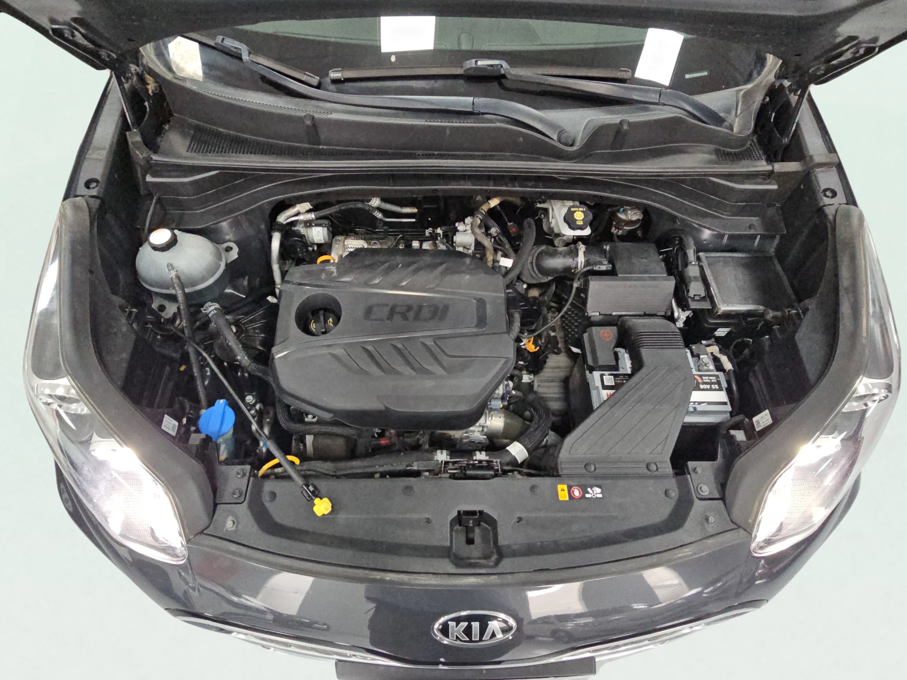 Kia Sportage 1.6 MHEV Drive Plus 4x2 - foto 18