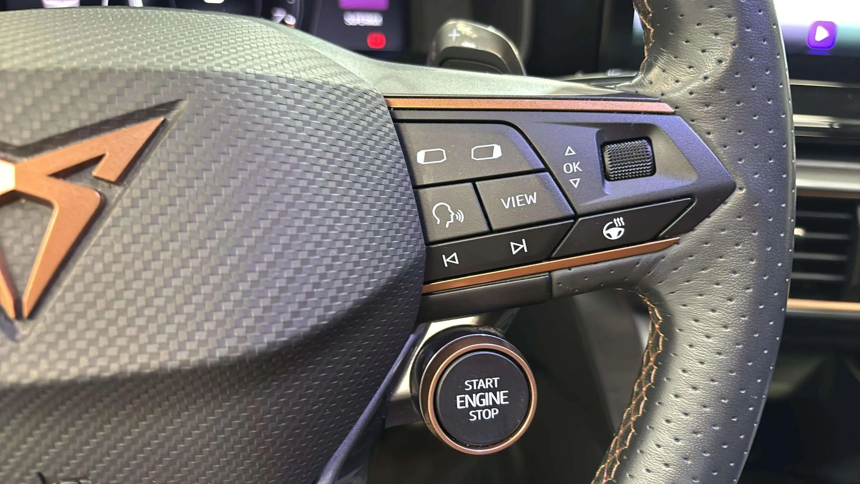 Cupra Formentor 2.5 TSI VZ5 4Drive DSG - foto 13
