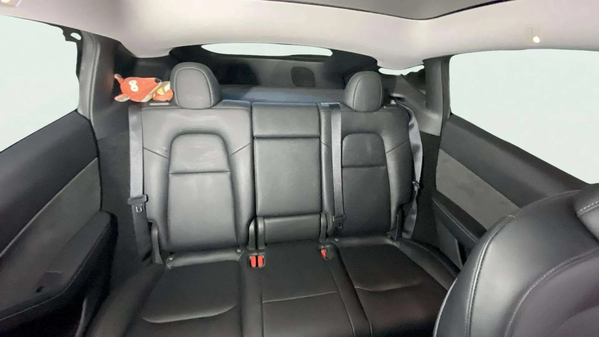 Tesla Model Y Gran Autonomía Tracción Trasera RWD - foto 18
