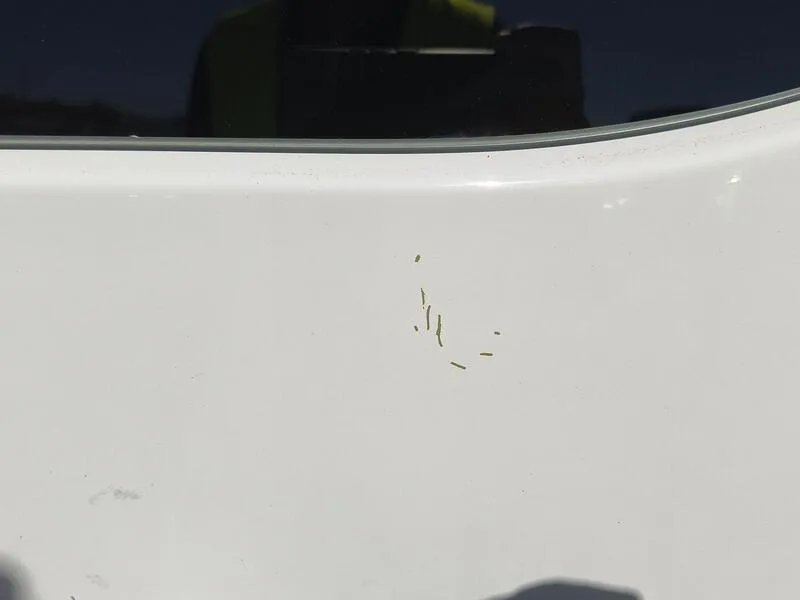 Peugeot Expert BlueHDi 180 - foto 31