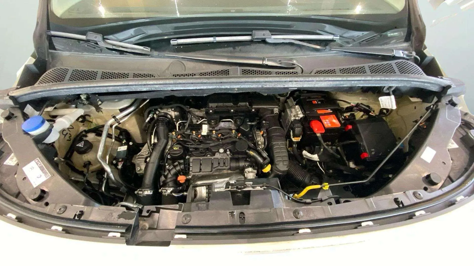 Citroën Berlingo Talla M BlueHDi 100 Club - foto 30