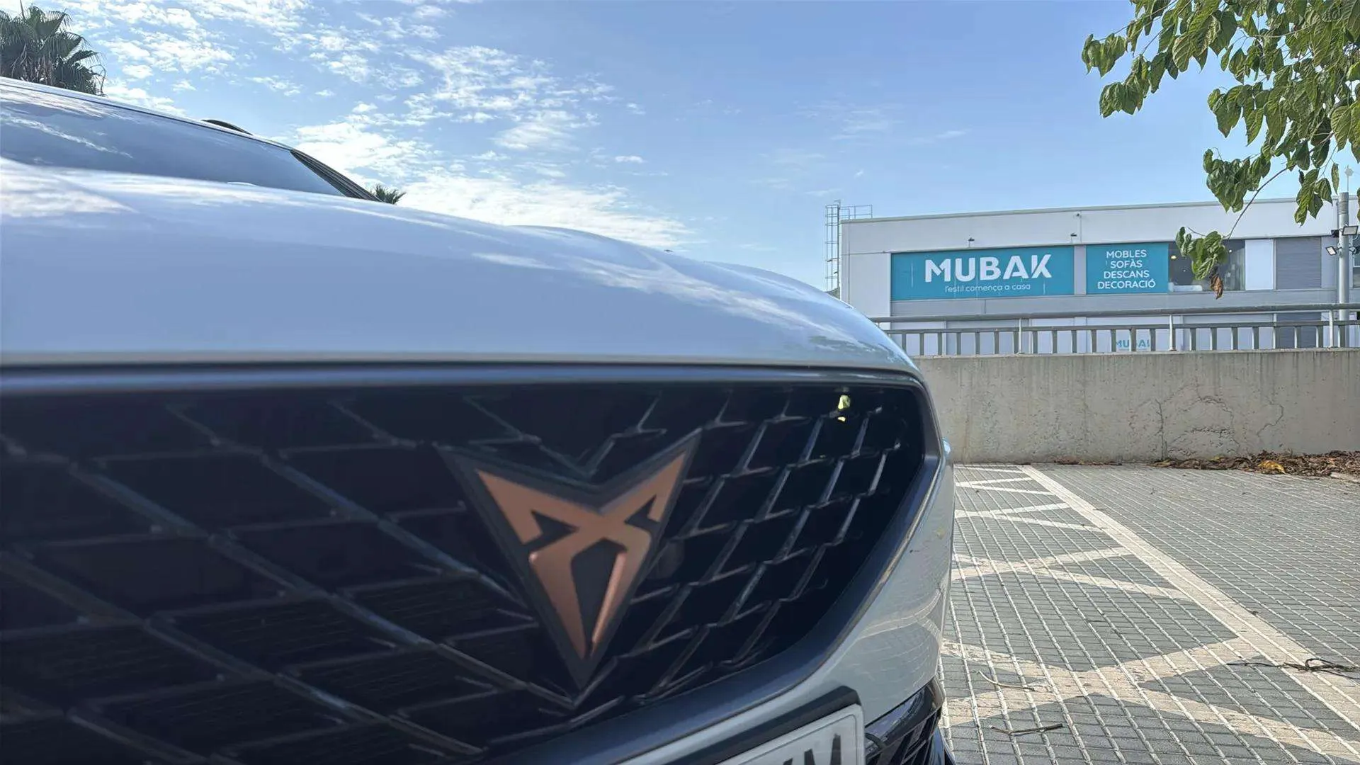 Cupra Formentor 1.5 TSI DSG - foto 22