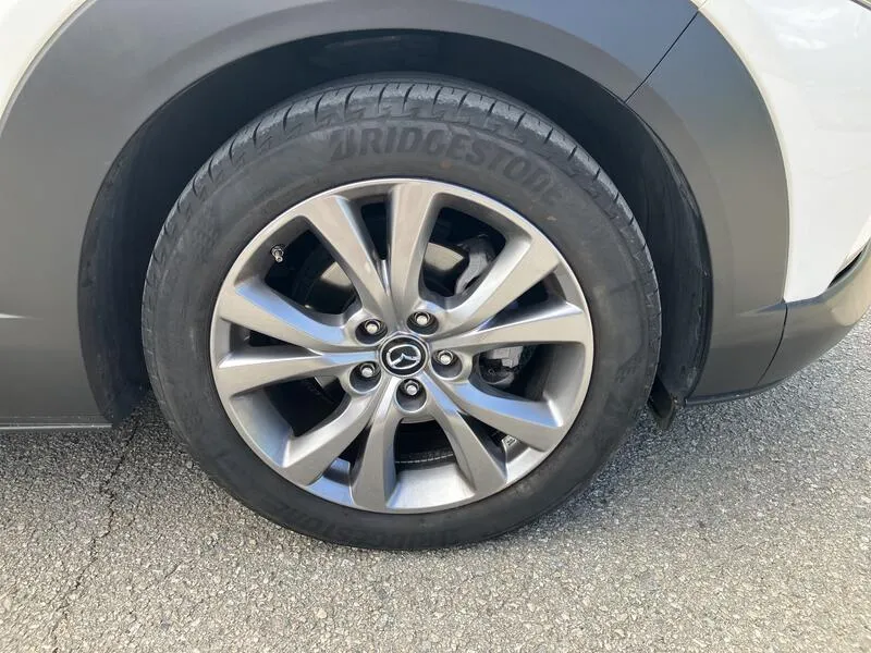 Mazda CX-30 2.5L e-SKYACT G MHEV Centr-Line - foto 37