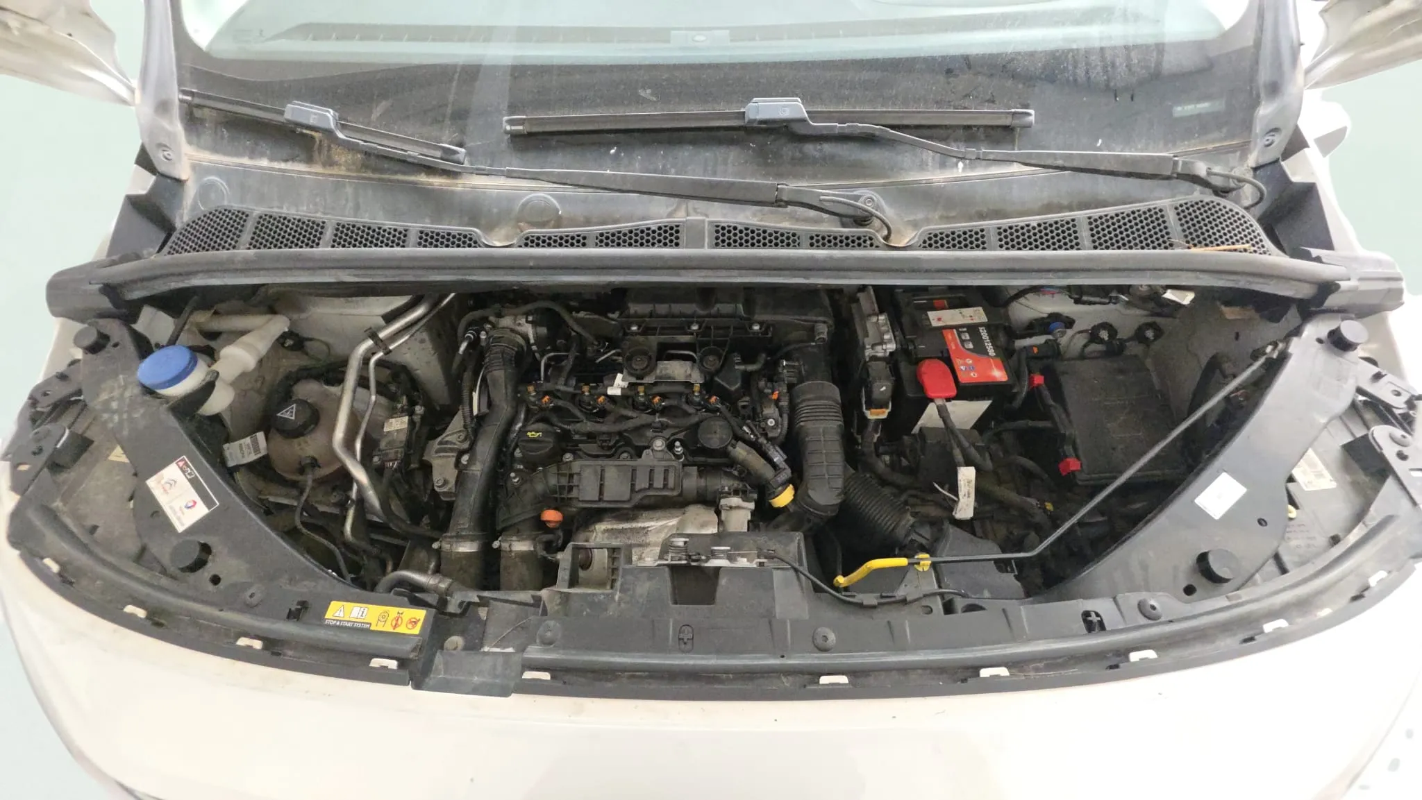 Citroën Berlingo Talla M BlueHDi 100 Club - foto 22