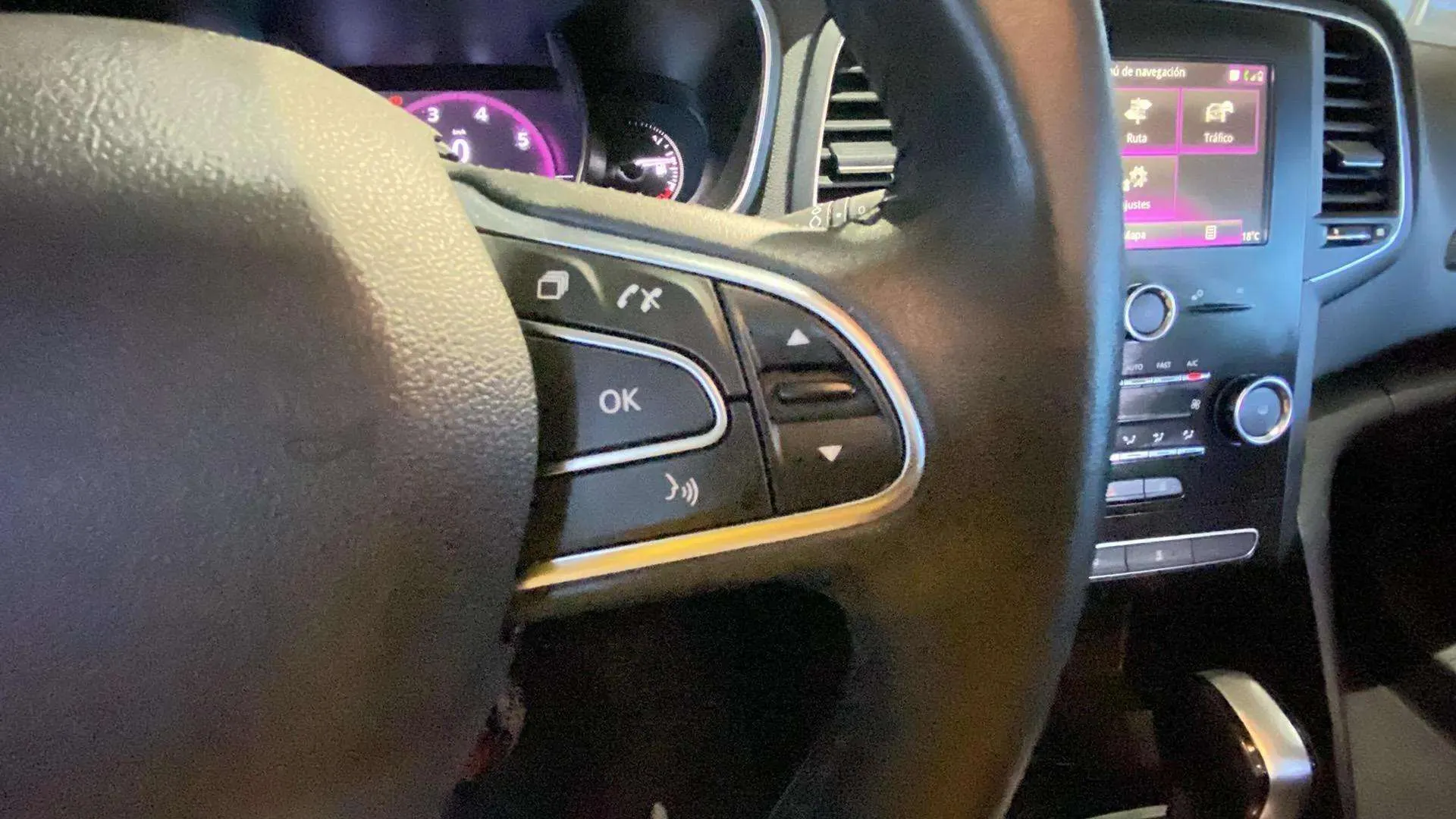 Renault Mégane Bose TCe GPF EDC - foto 25