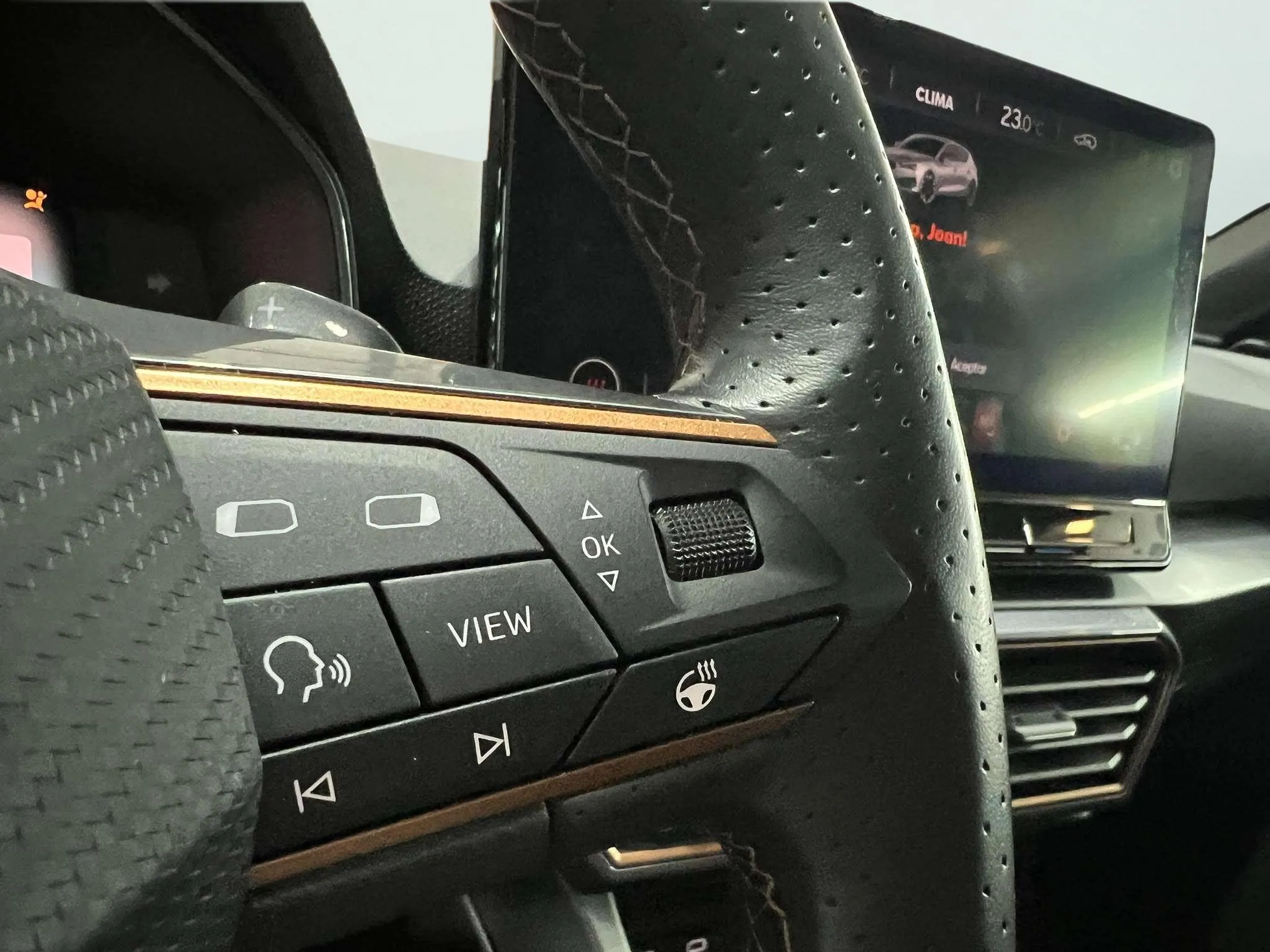 Cupra León 2.0 TSI DSG - foto 17