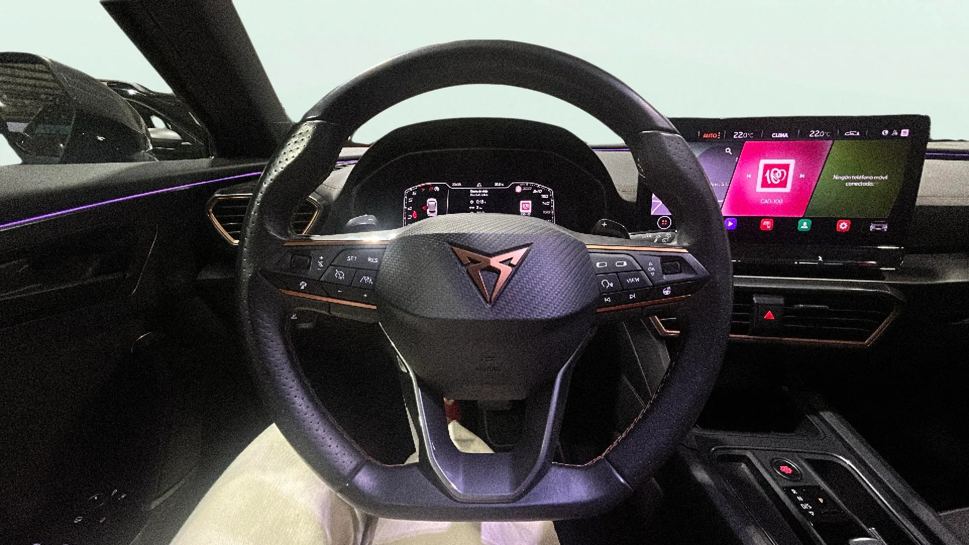 Cupra Formentor 1.5 TSI DSG - foto 12
