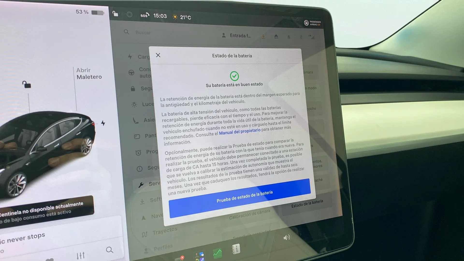 Tesla Model 3 Performance AWD - foto 20