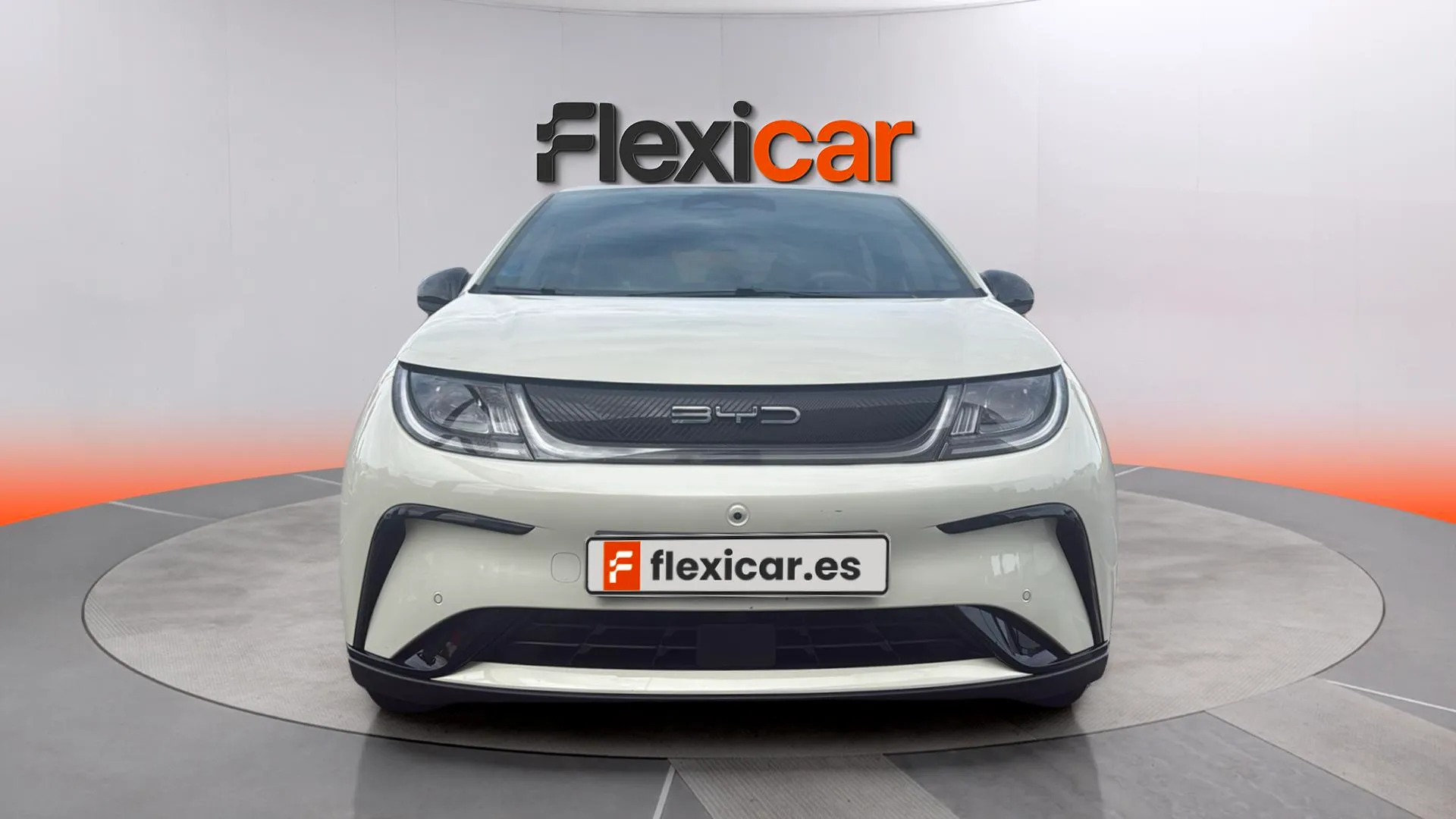 BYD Dolphin Design - foto 2