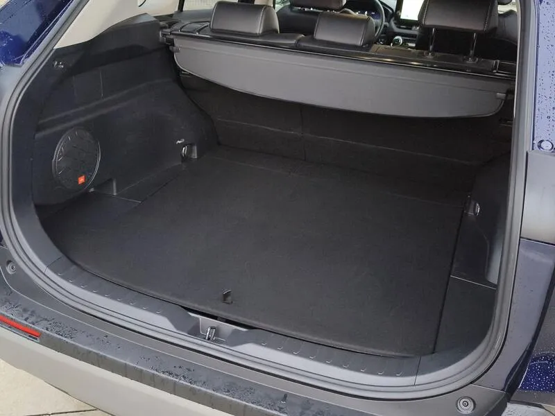 Toyota RAV4 2.5l 220H Luxury - foto 40