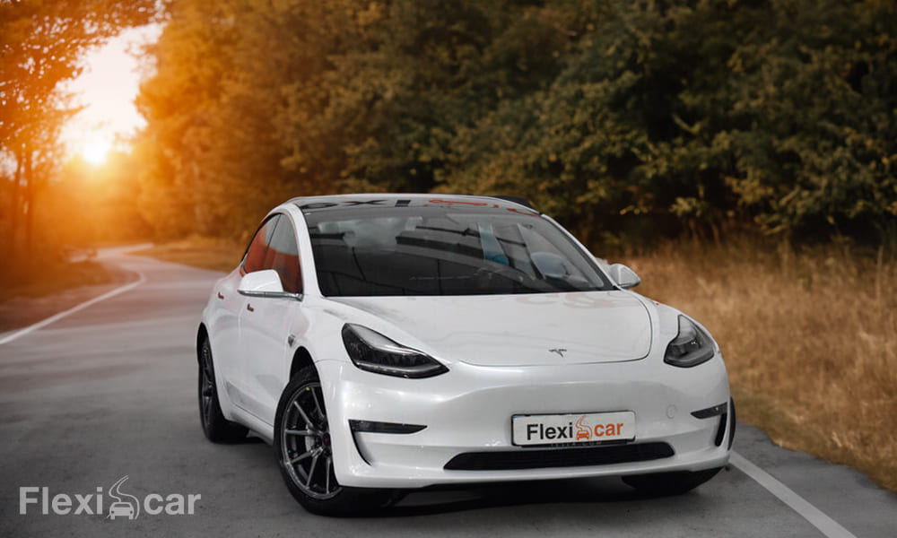 Coches eléctricos más vendidos: Tesla Model Y
